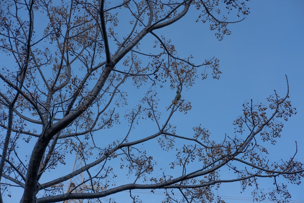 a bird is perched on a tree branch