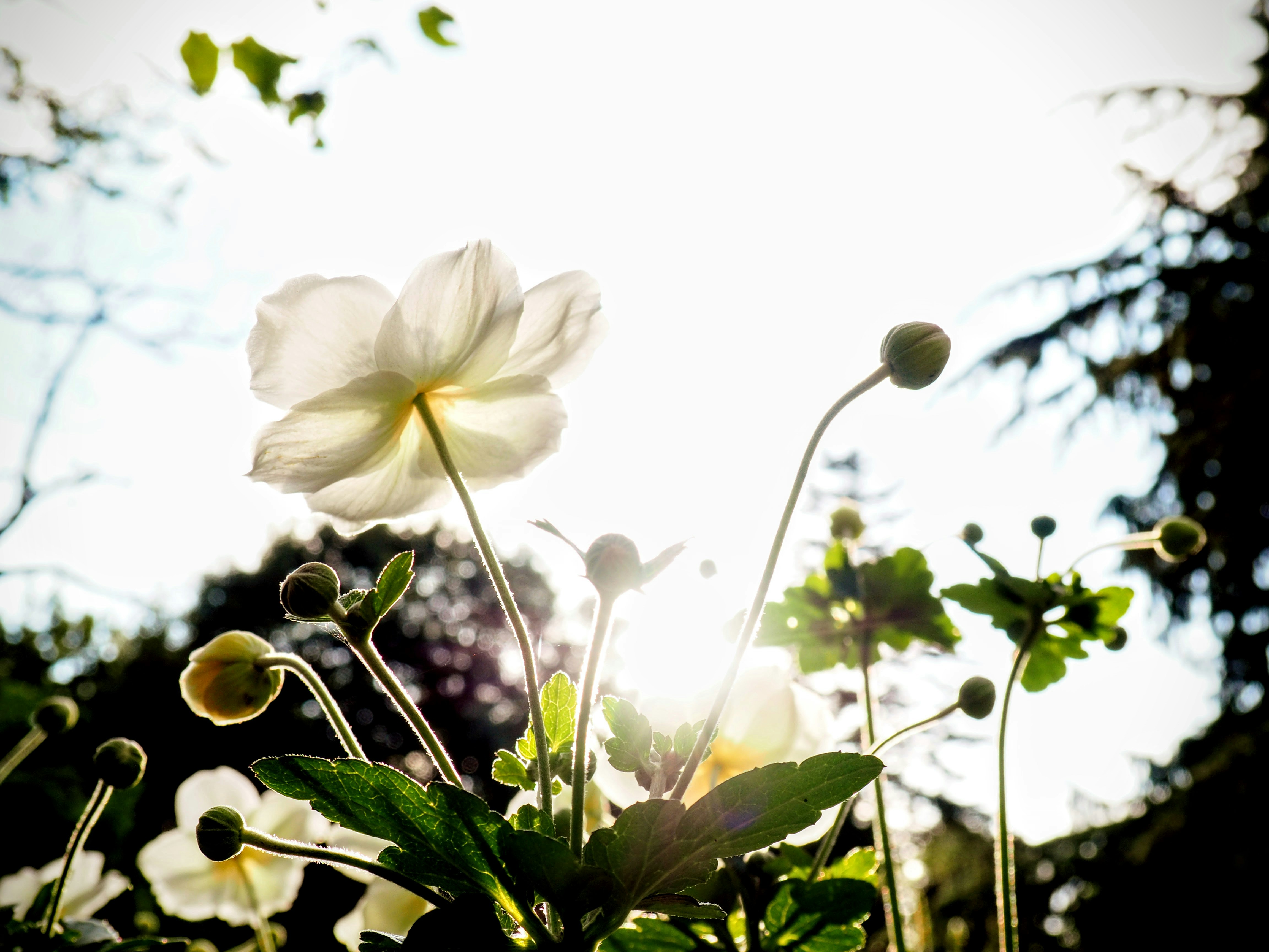 Photo by benji_da_vinci