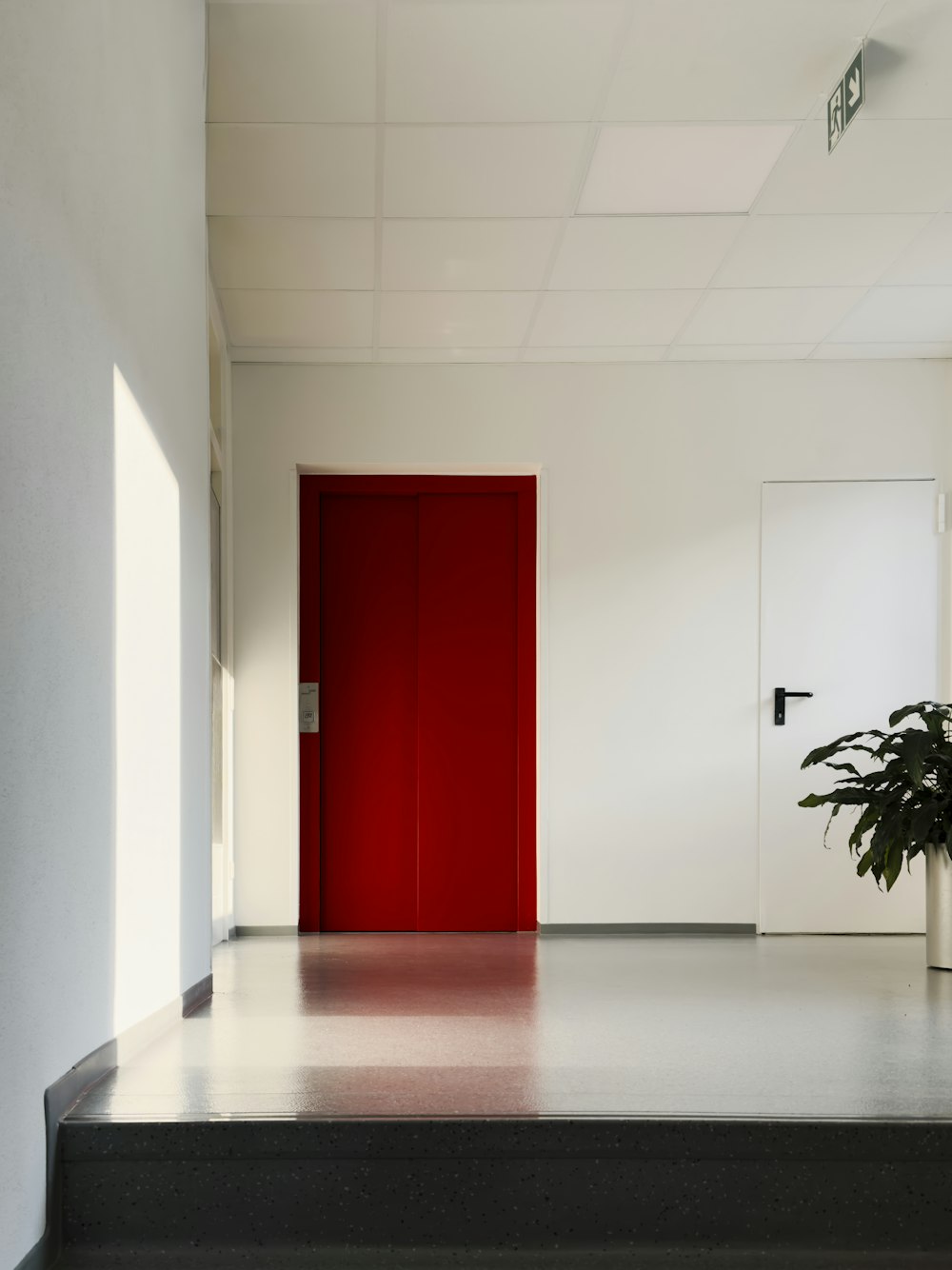 a red door in a white room next to a plant
