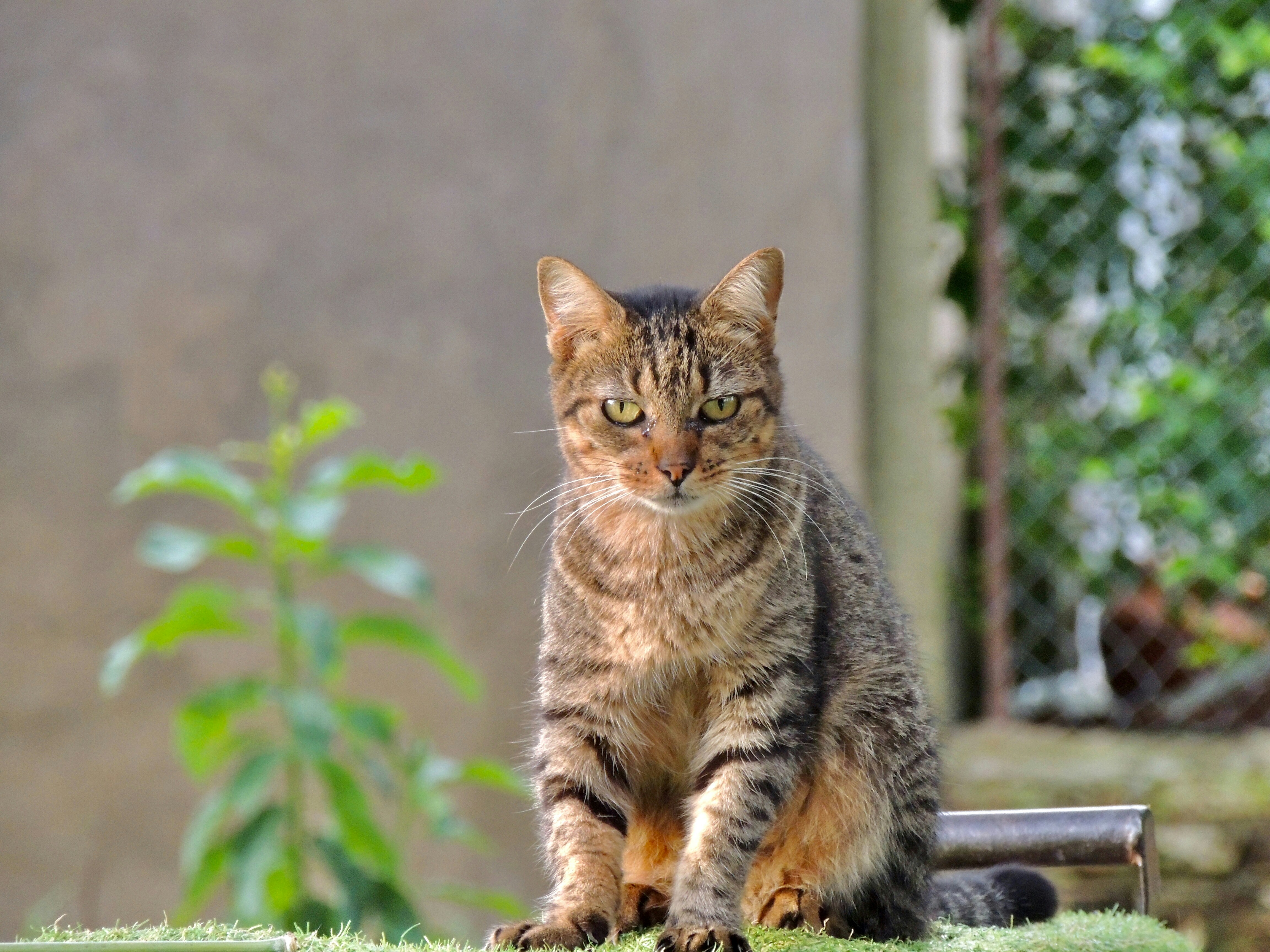 Photo by sunshinestudio82