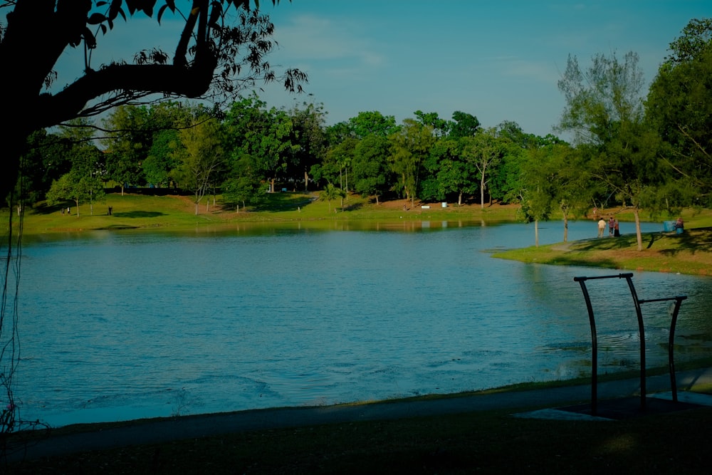 a body of water surrounded by trees and a park bench