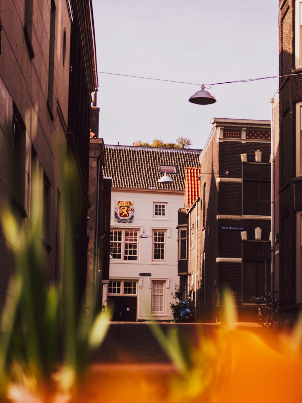 a view of a street in a small town