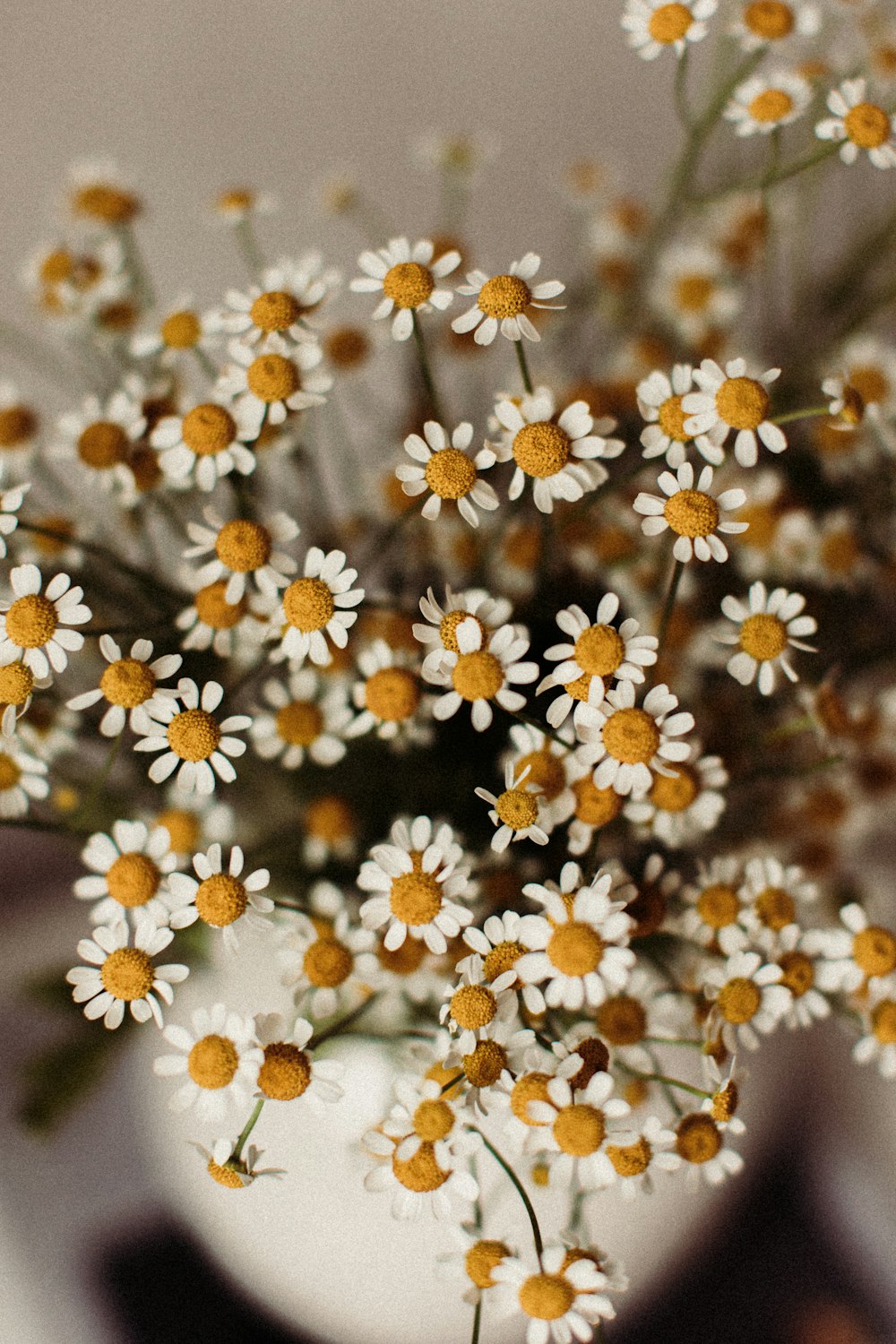 a vase filled with white and yellow flowers