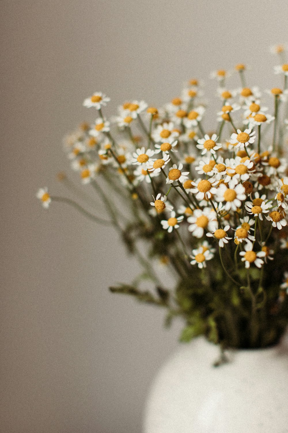 eine weiße Vase gefüllt mit vielen weißen und gelben Blumen