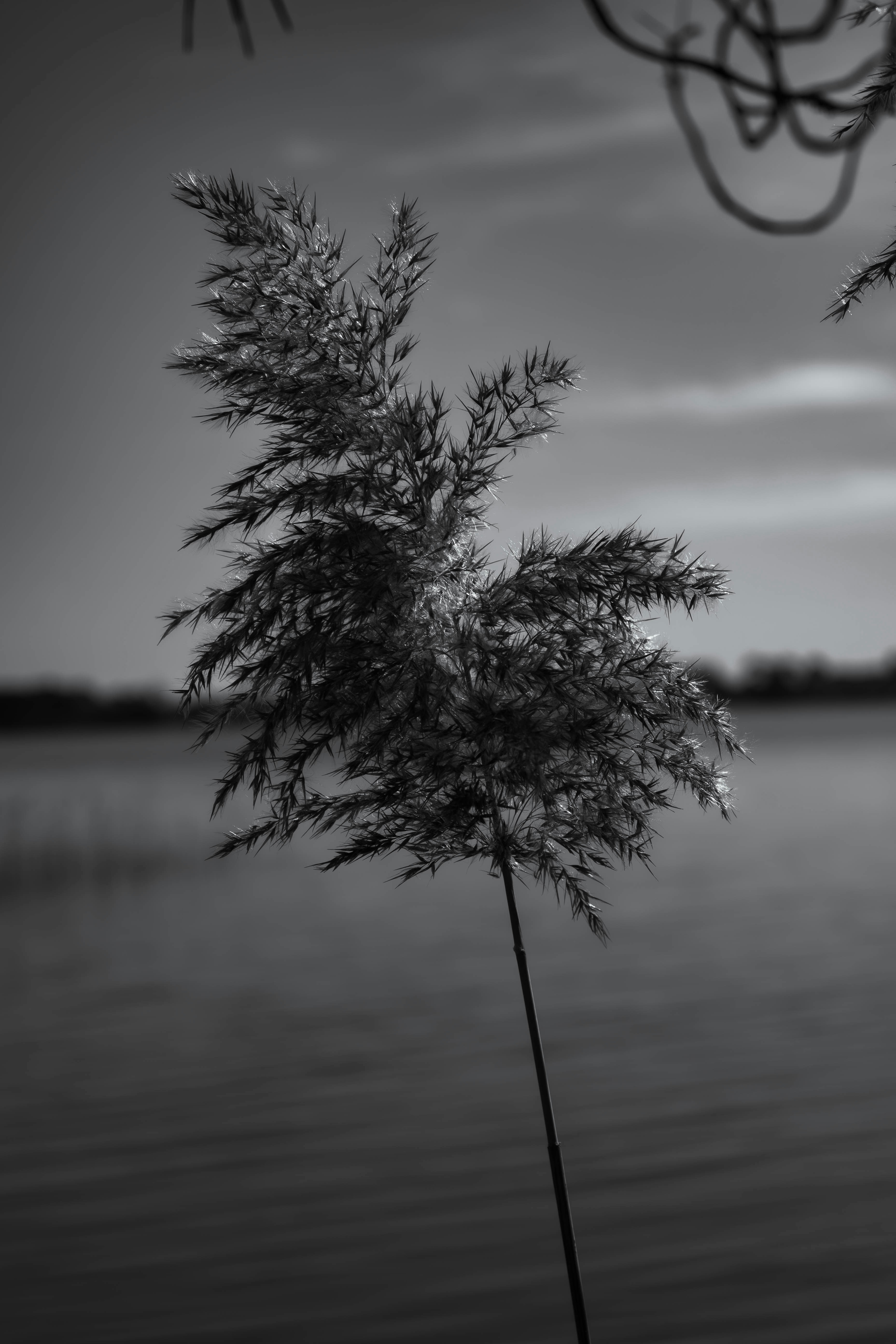 Photo by alexisphotographie_