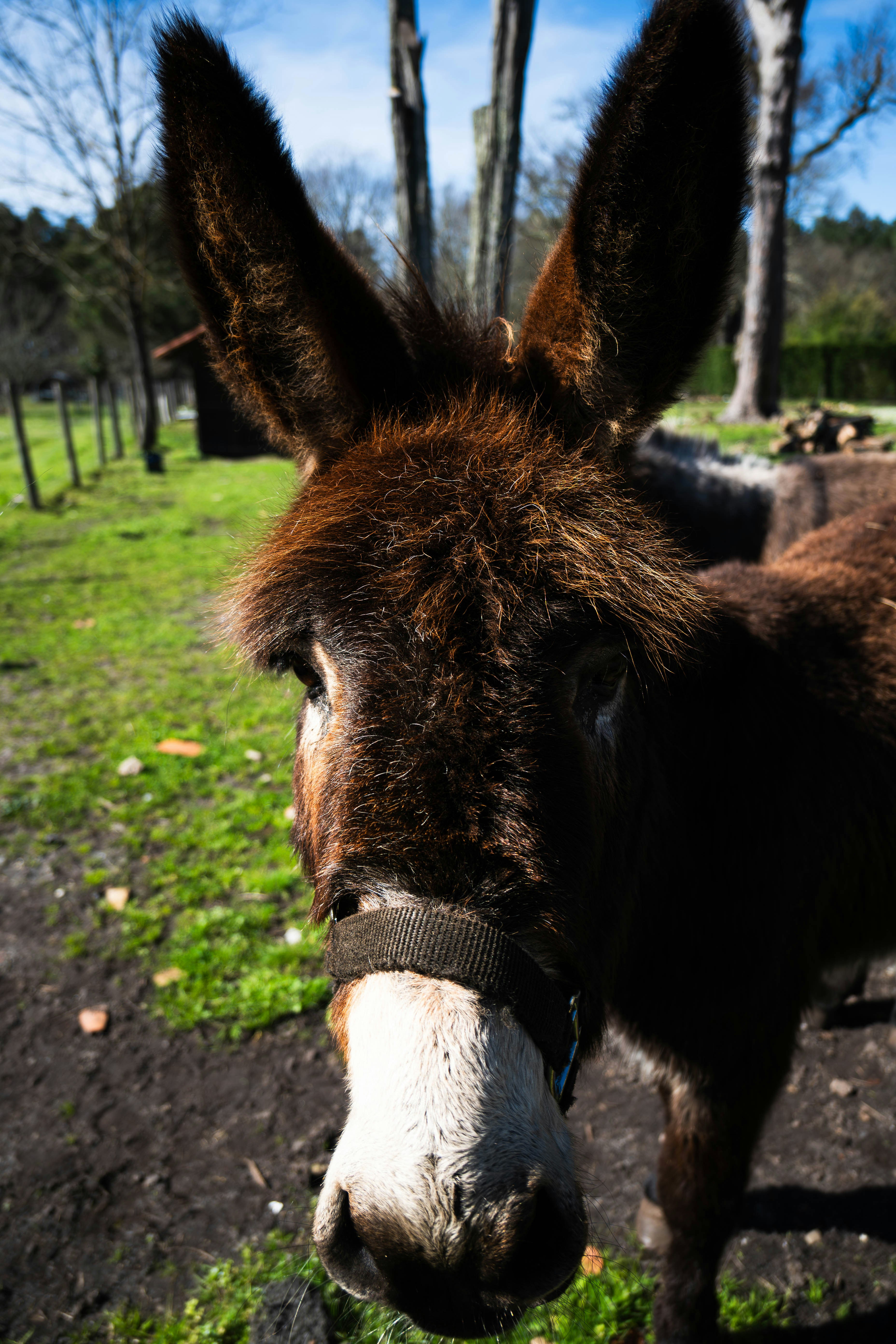 Photo by alexisphotographie_