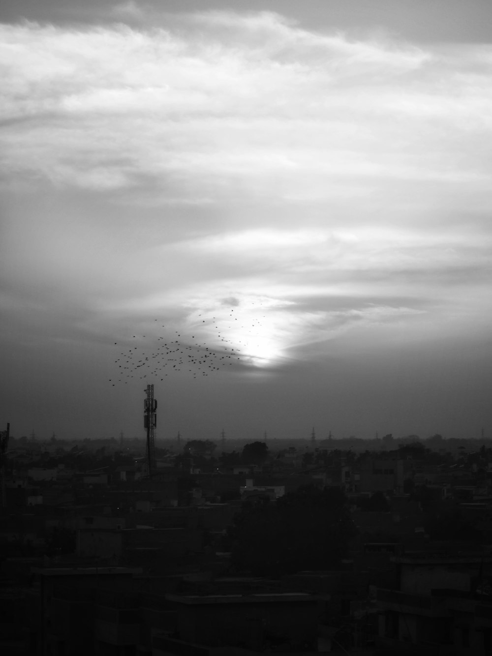 a flock of birds flying over a city under a cloudy sky