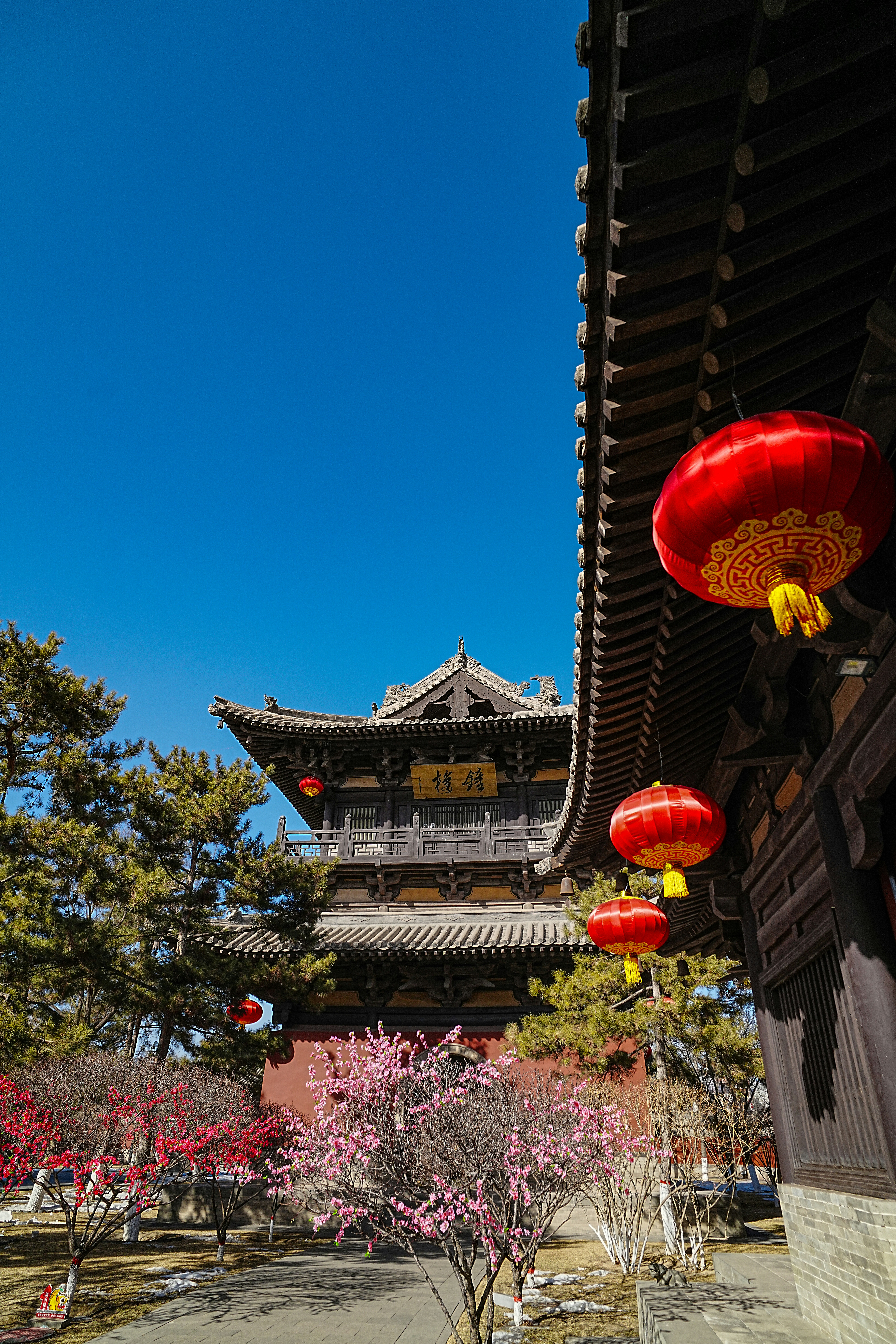 Photo by hattrick1996