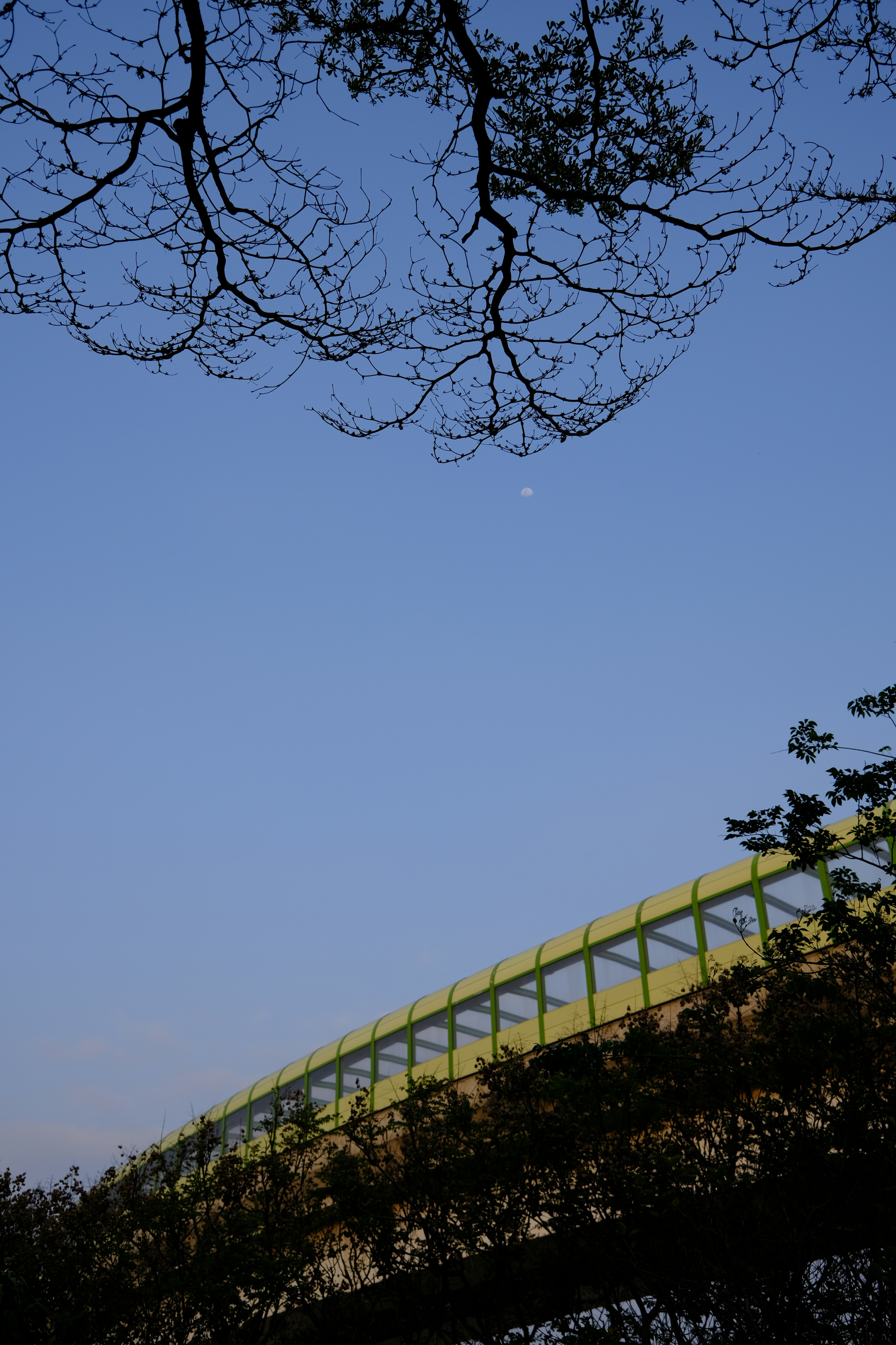 a bridge with a green railing and a tree in the foreground