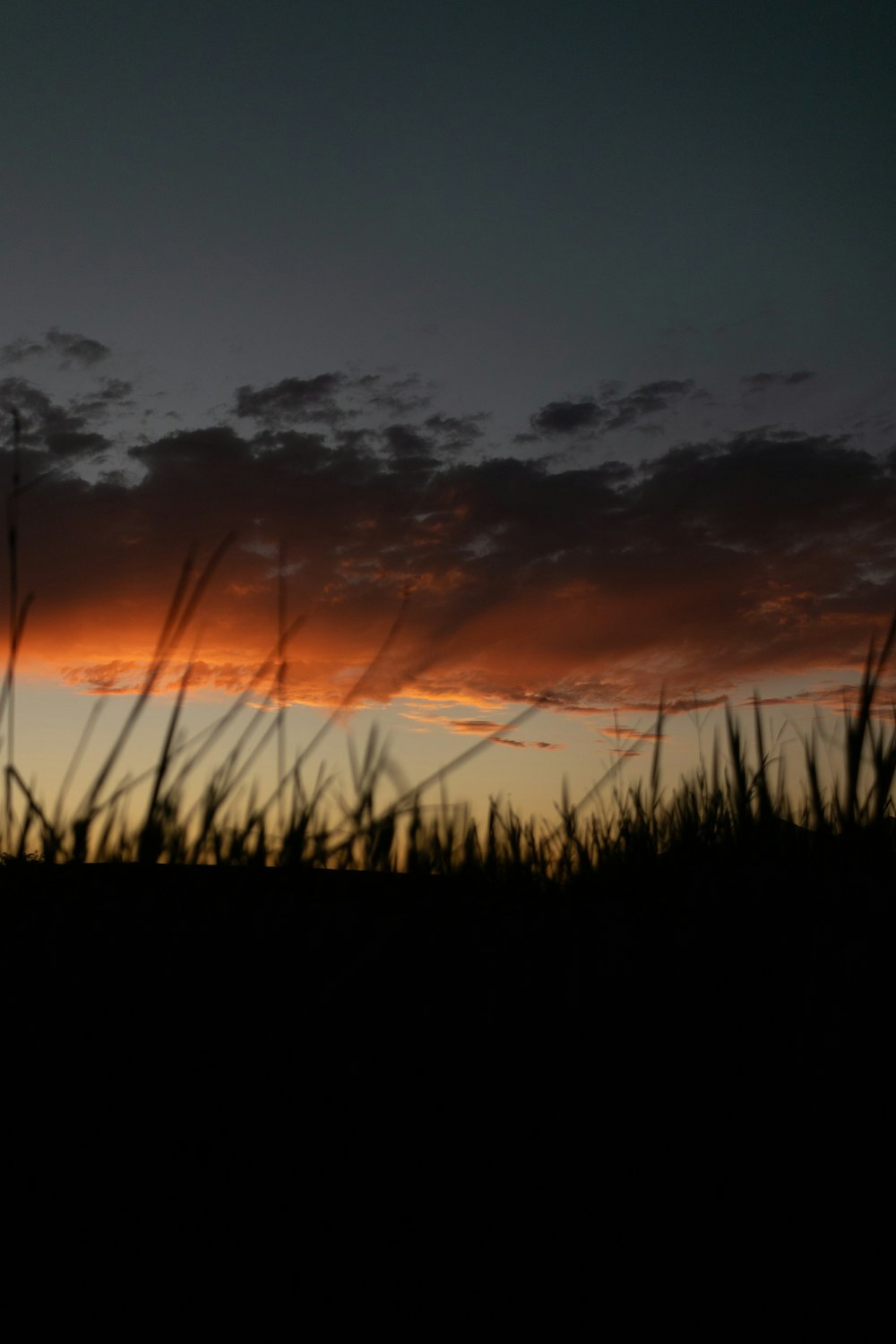 the sun is setting over a field of tall grass