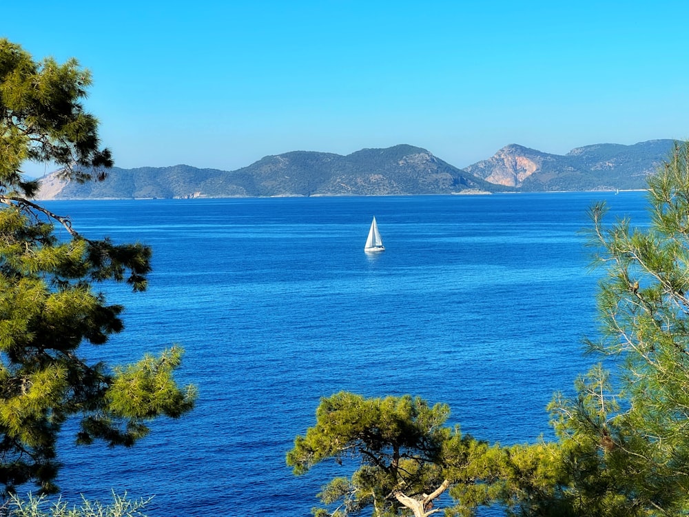 a sailboat in the middle of a large body of water