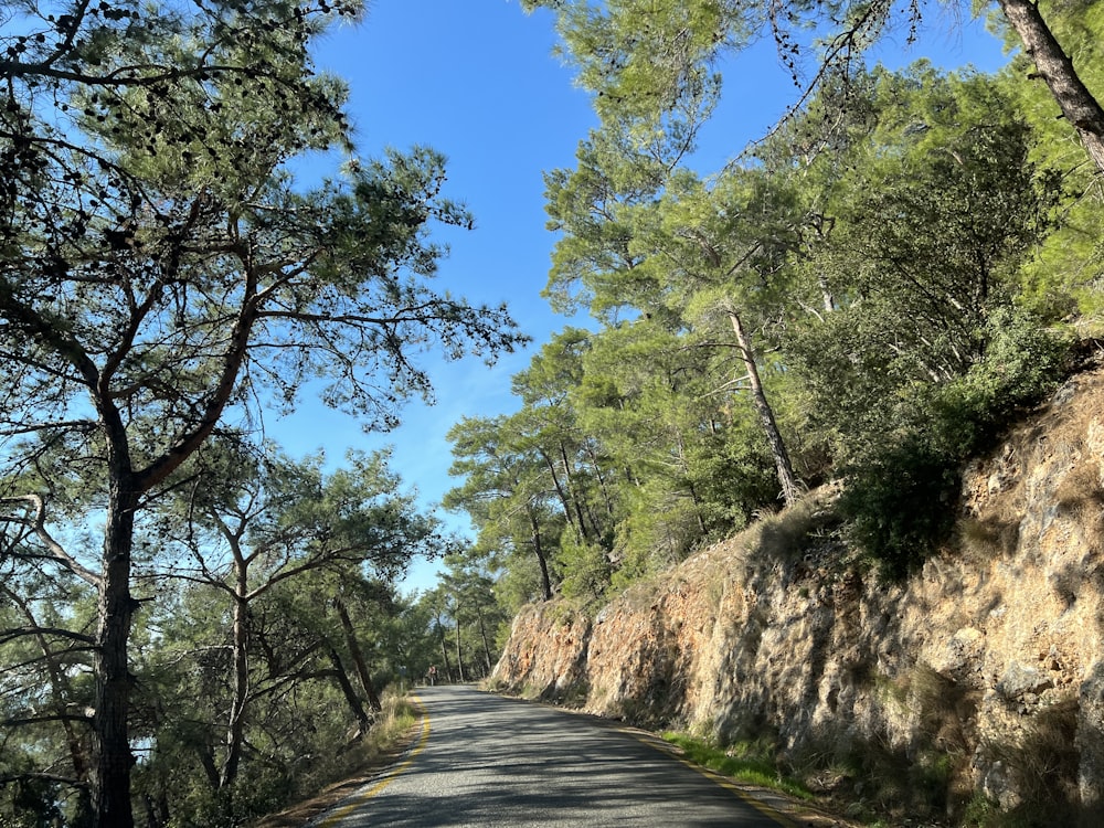 a view of a road through some trees
