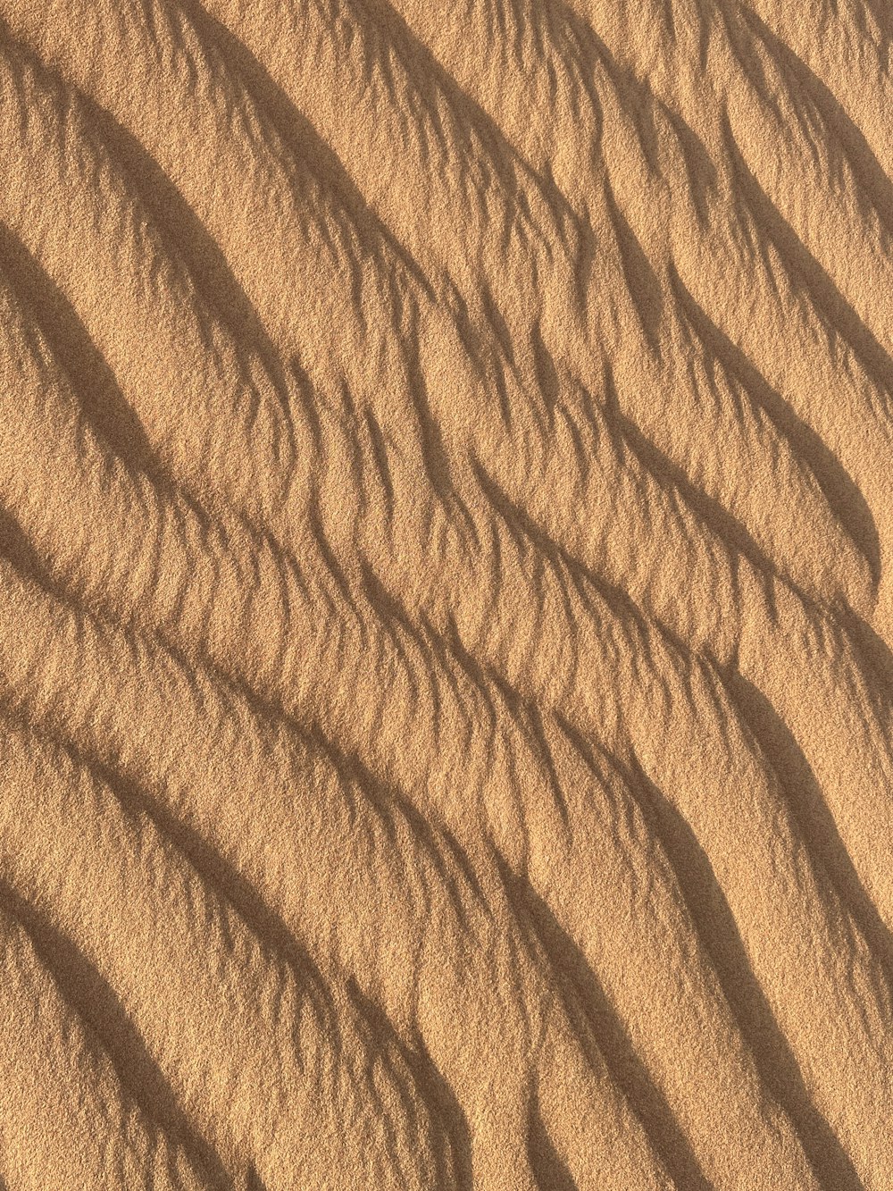 a sandy area with a small amount of sand