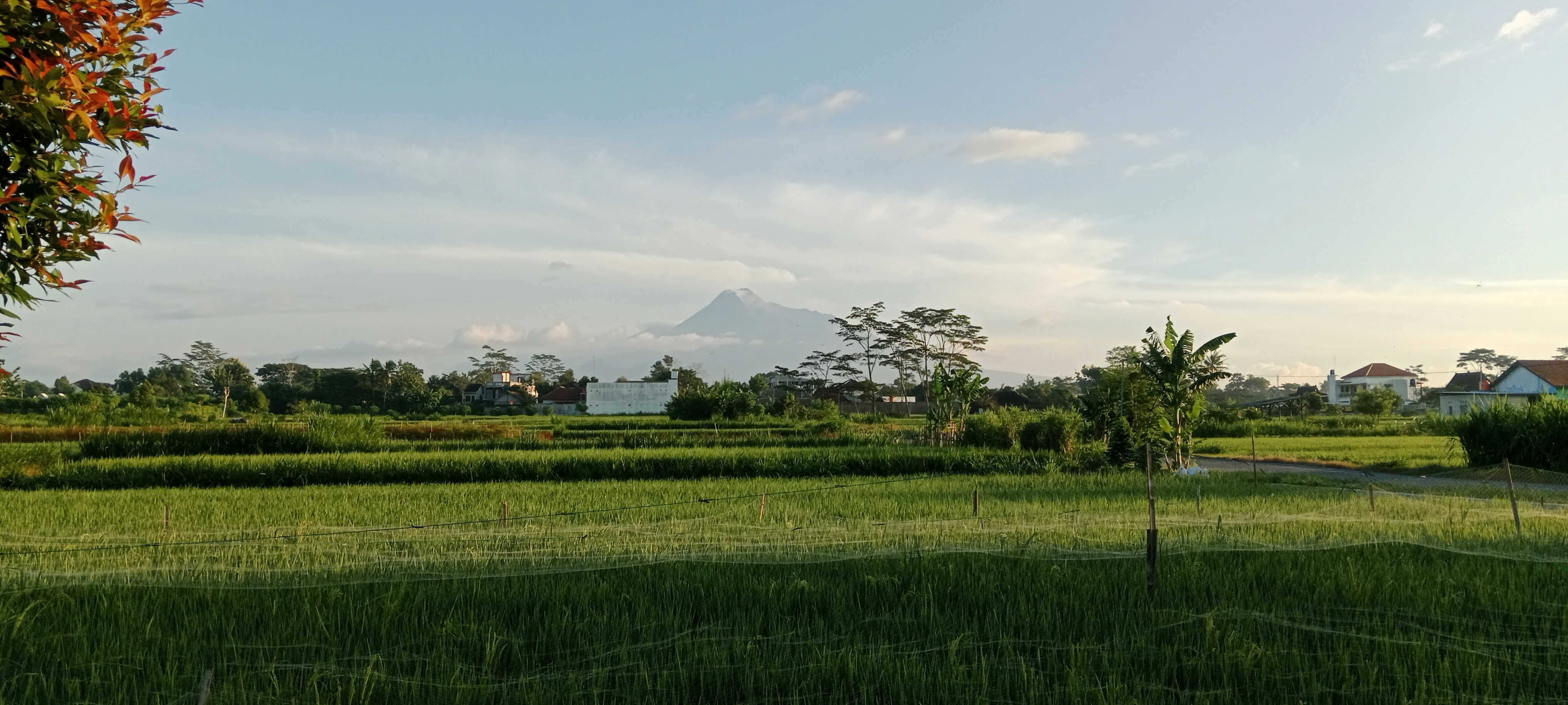 Photo by yehezkiel05