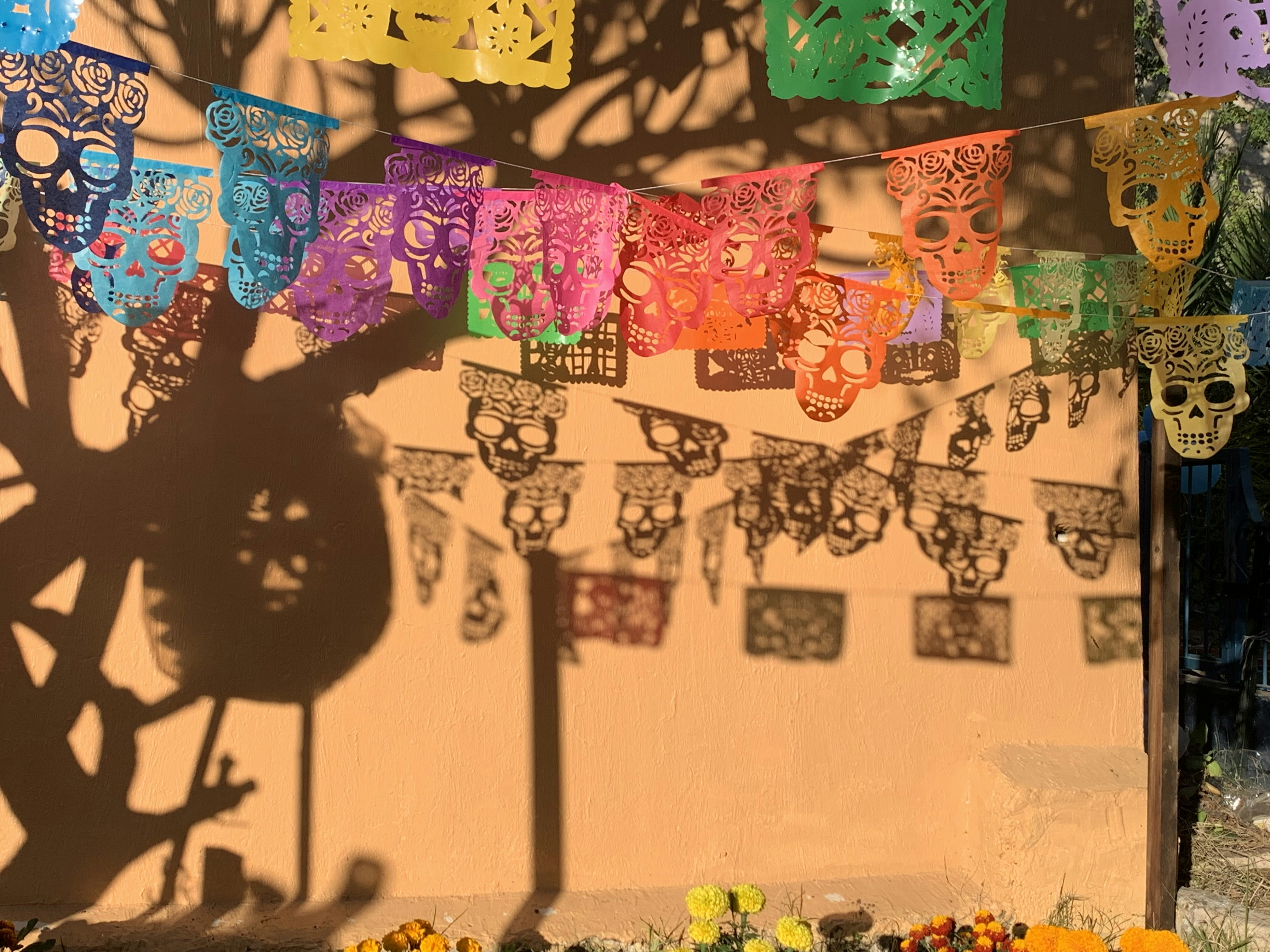 Newman's Dia de los Muertos party is on Saturday
