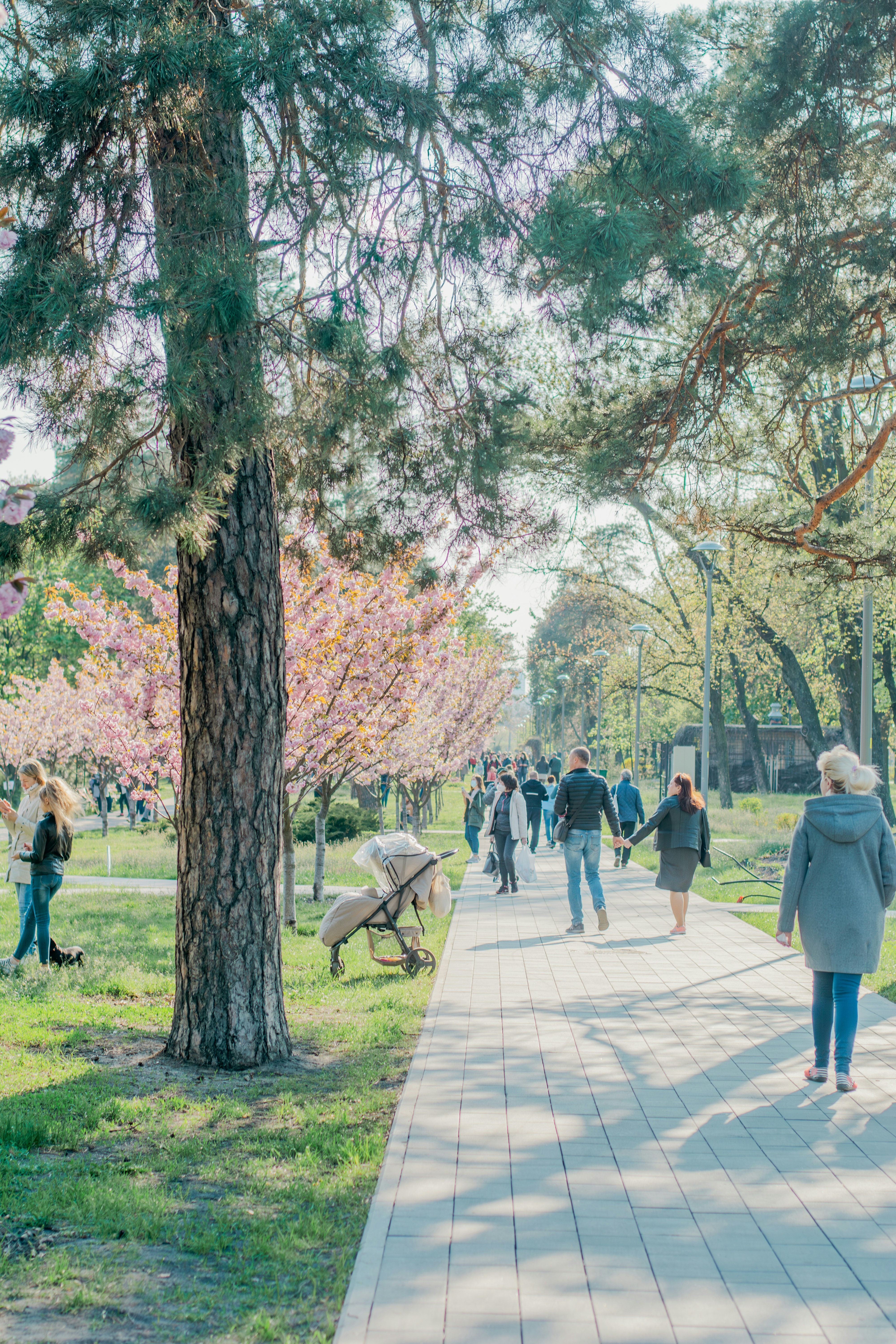 Photo by eugenivy_now