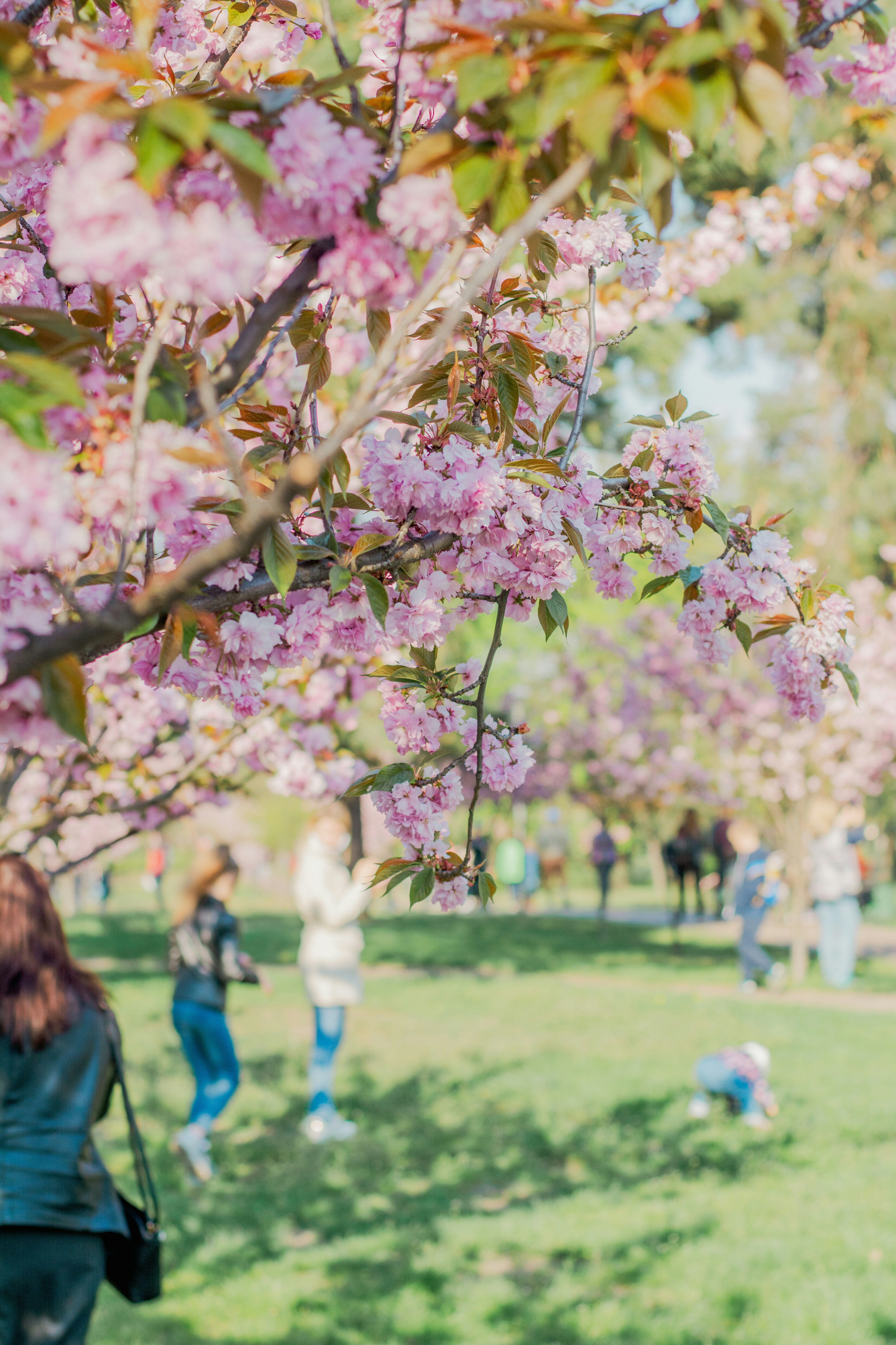 Photo by eugenivy_now