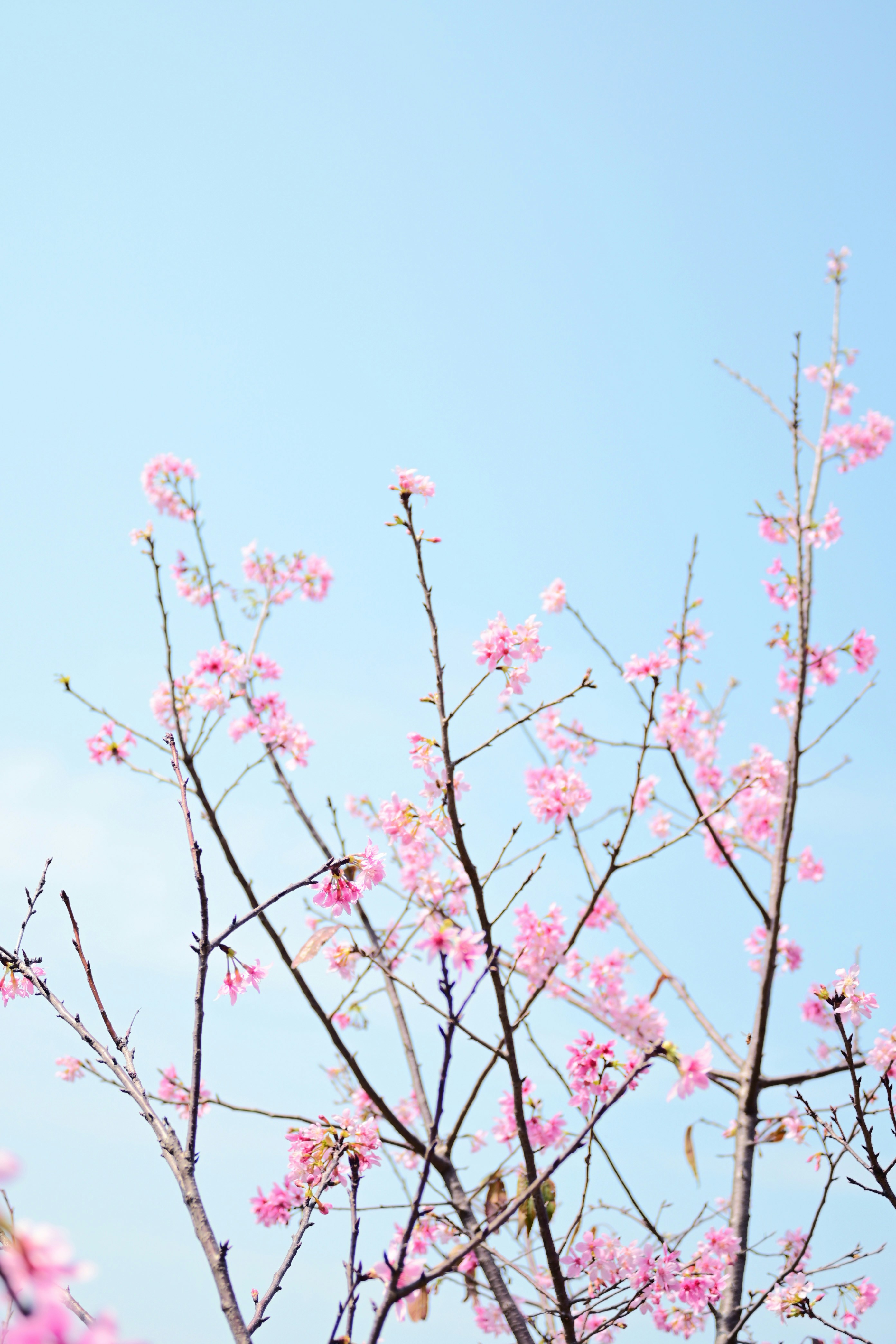 Photo by kinferiority