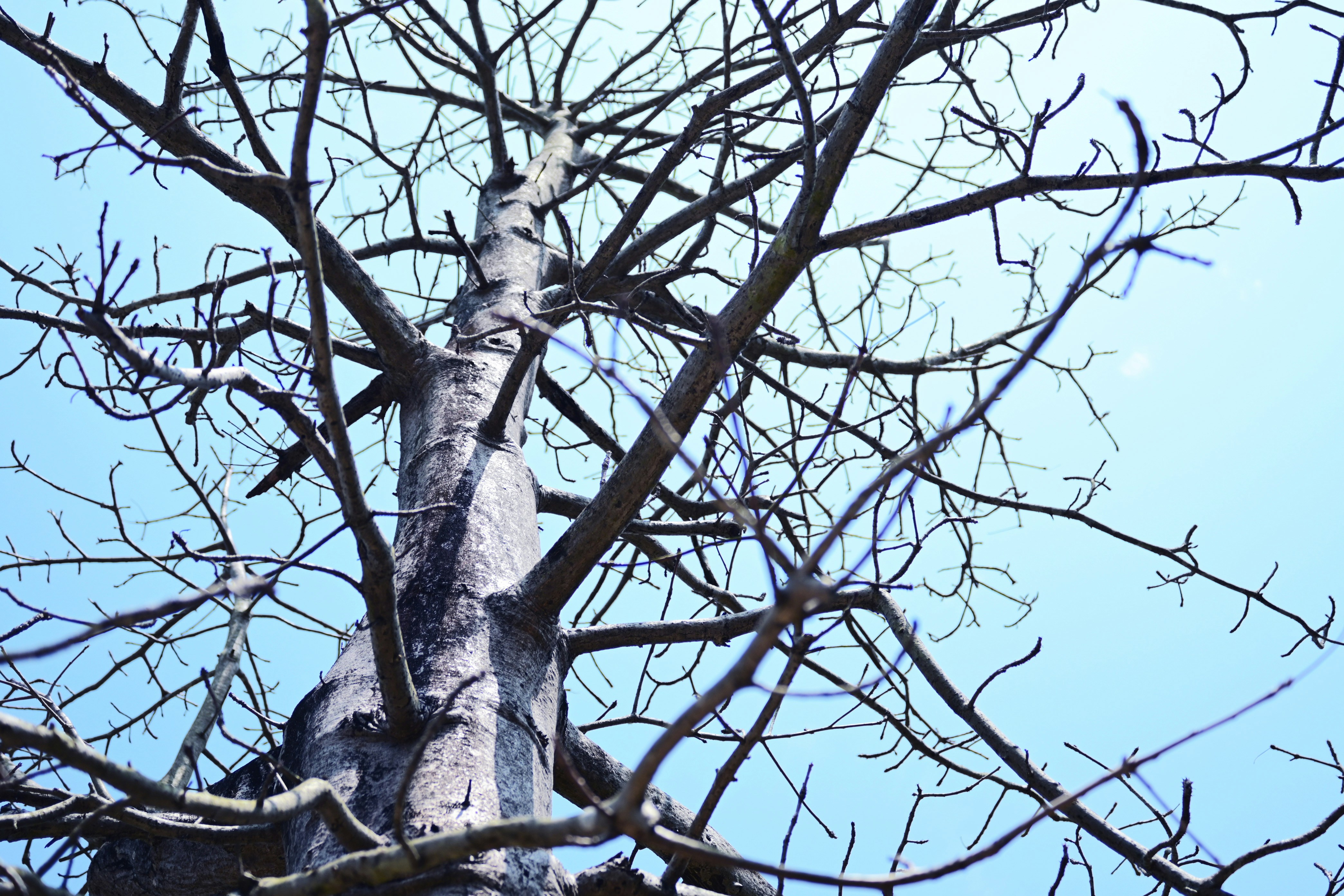 Photo by kinferiority