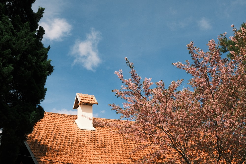 the roof of a house with a tree in the foreground