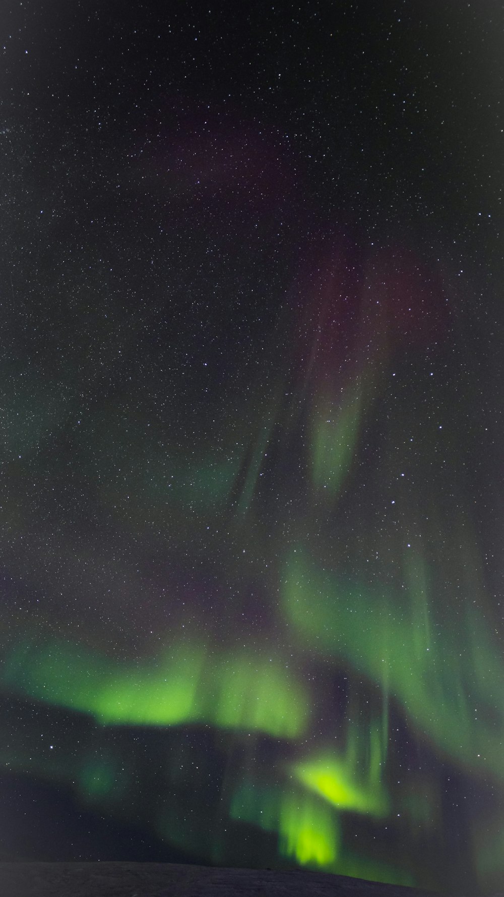 a green and purple aurora bore in the night sky