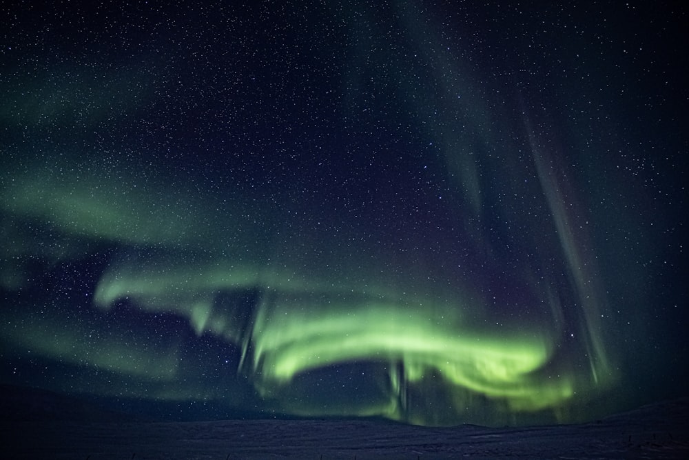 a green and purple aurora bore in the night sky