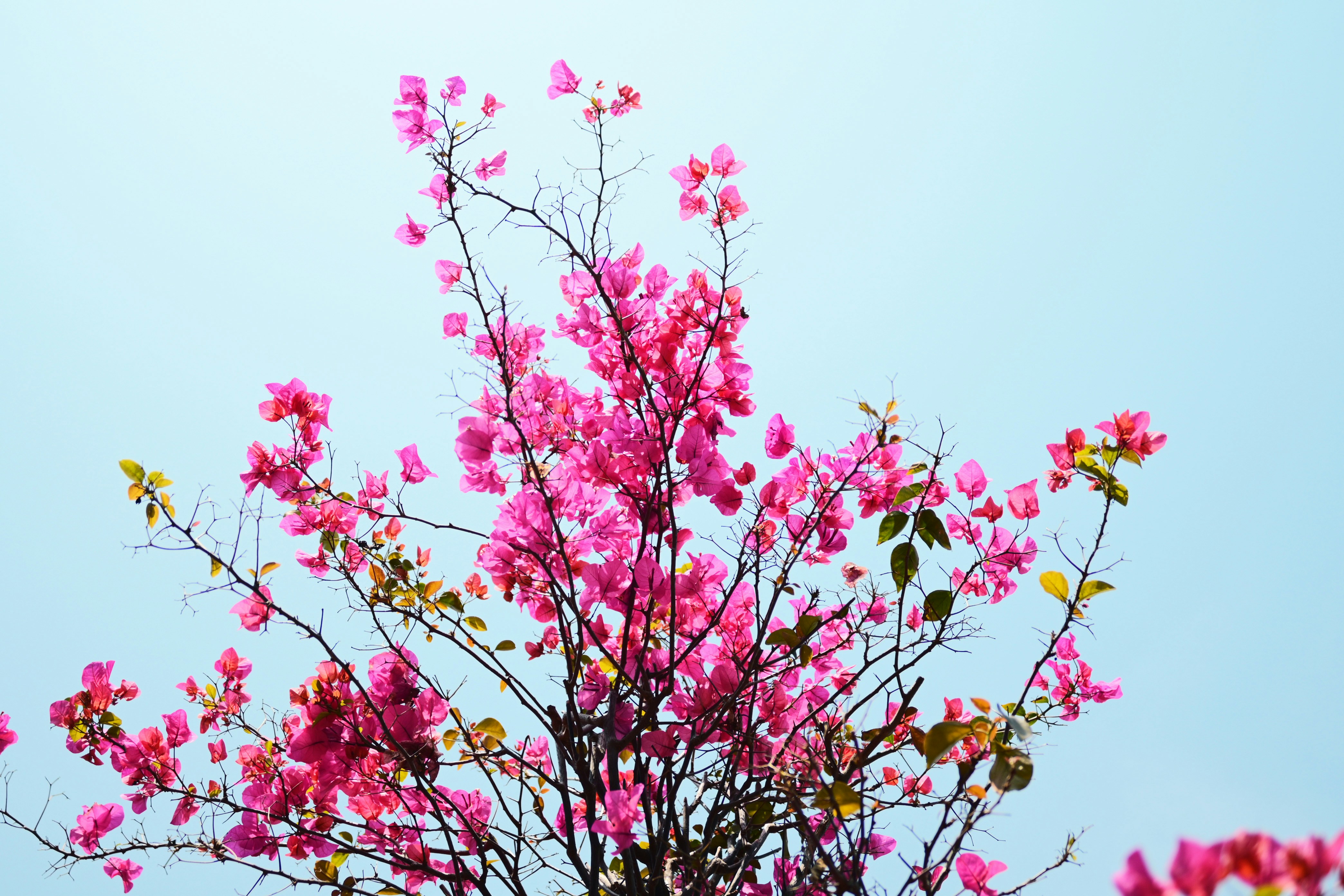 Photo by kinferiority