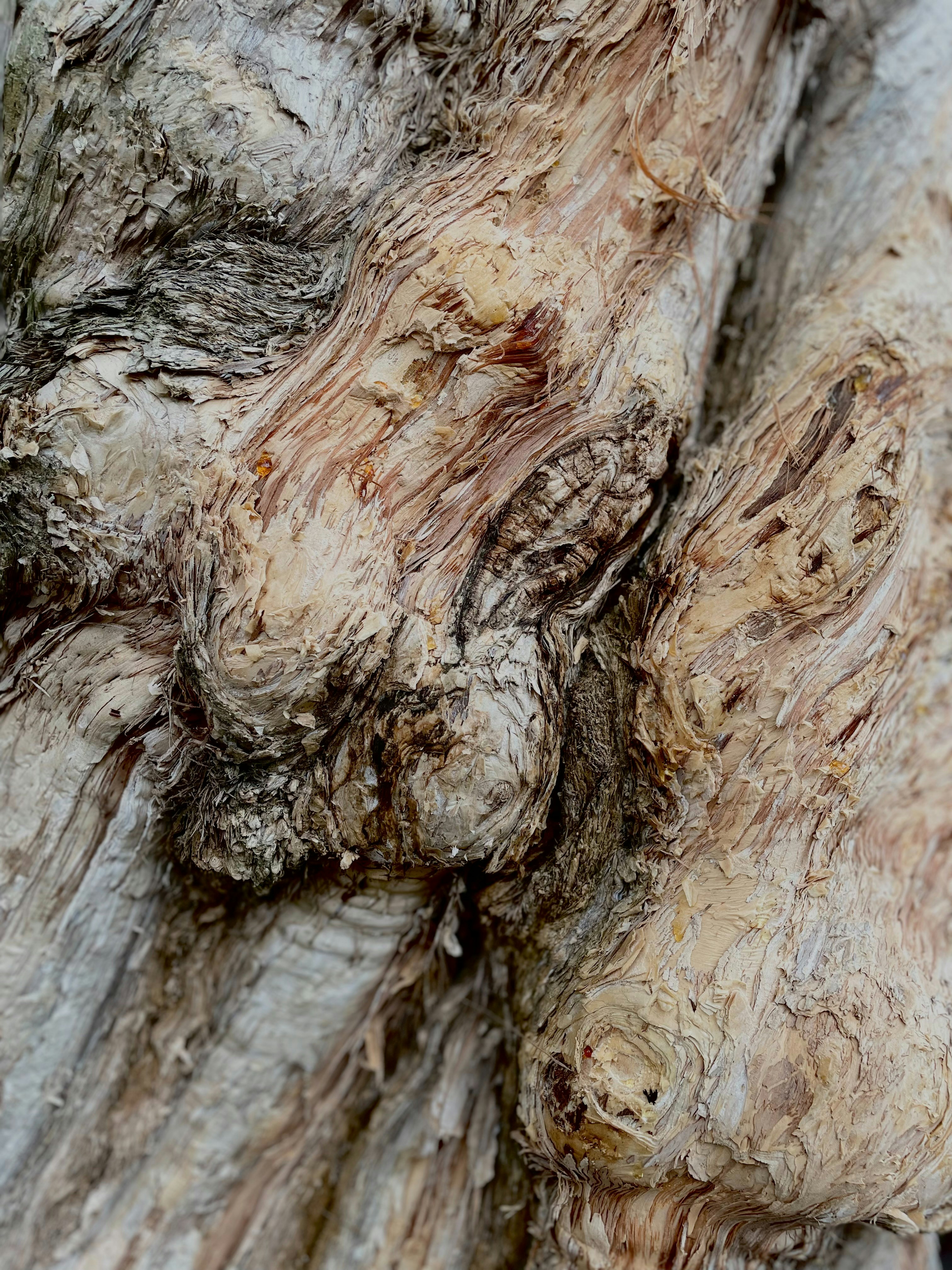 Photo by lsrabbit1212