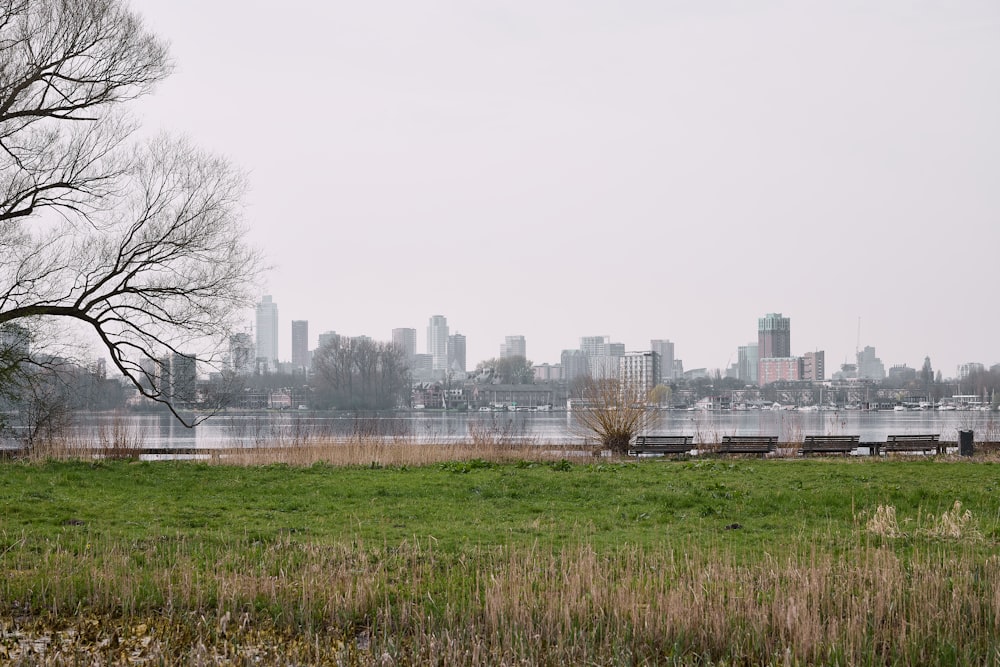 Un campo cubierto de hierba con una ciudad al fondo