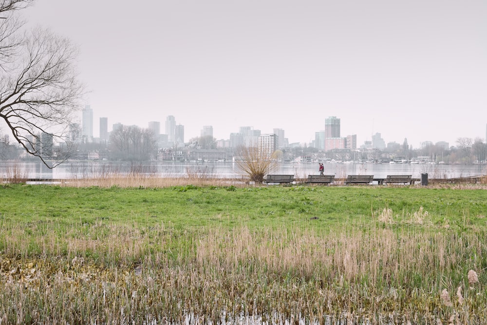 a grassy field with a bench in the foreground and a city in the background