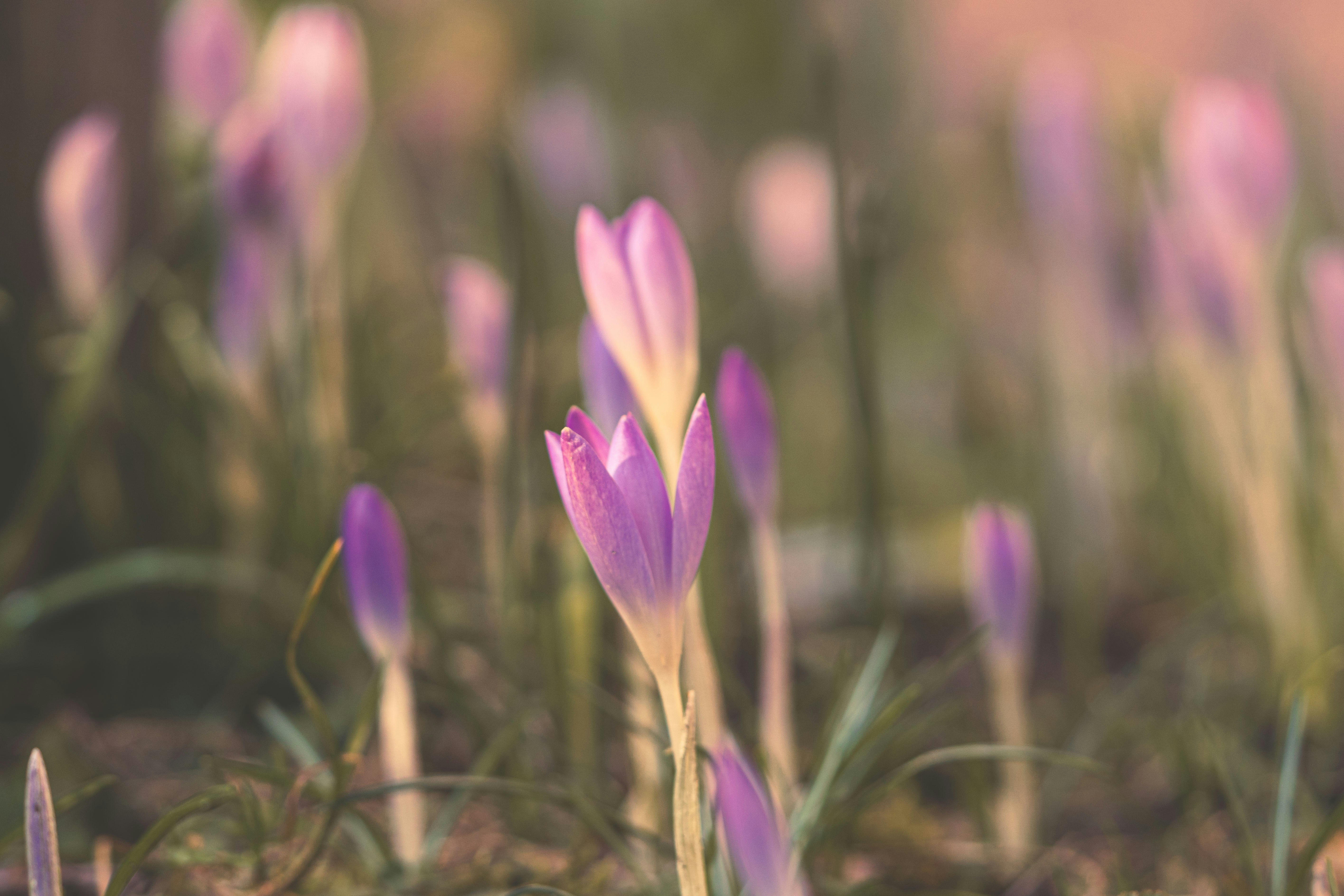 Photo by schnappschuss