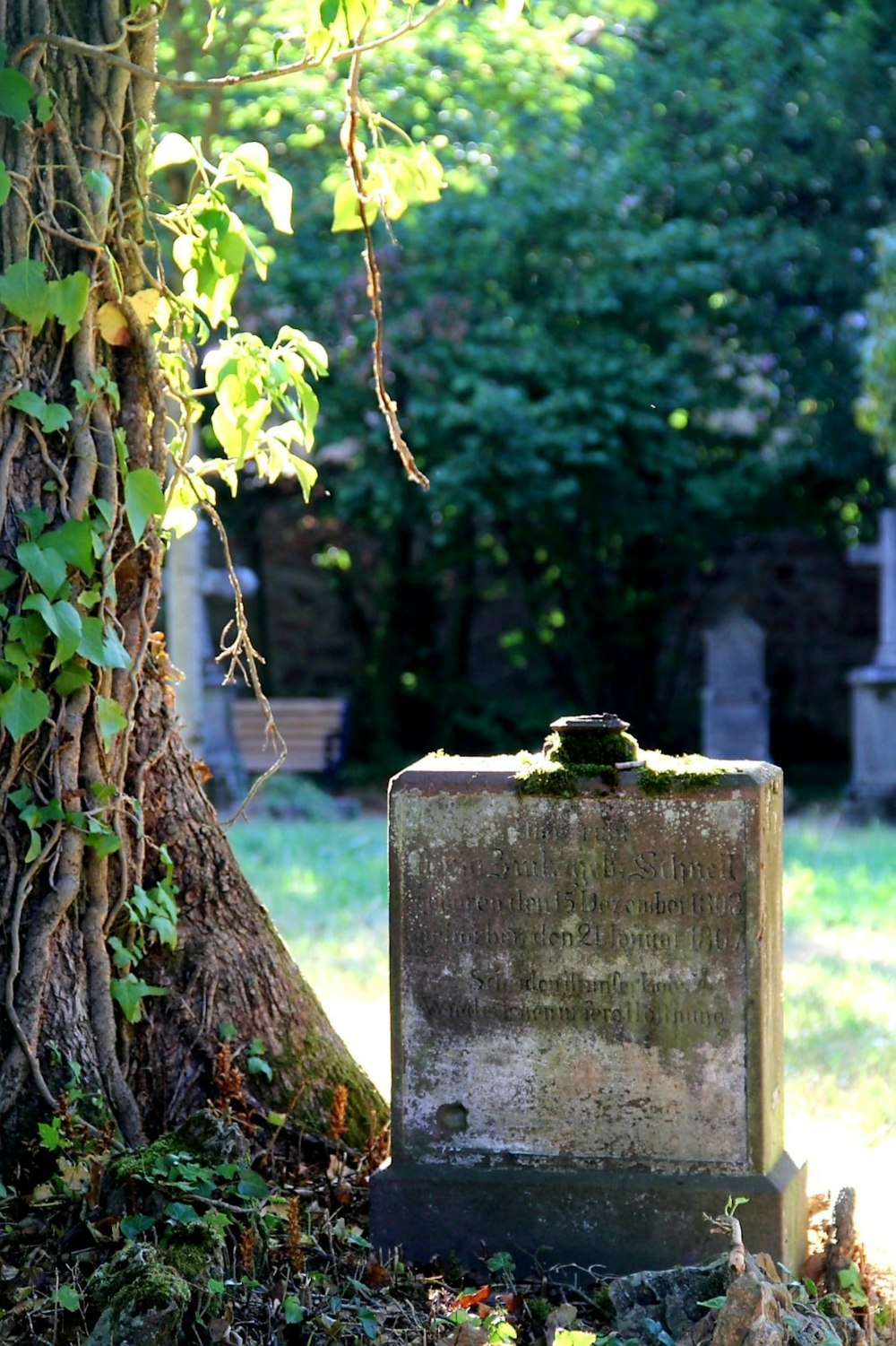 a grave in the middle of a cemetery