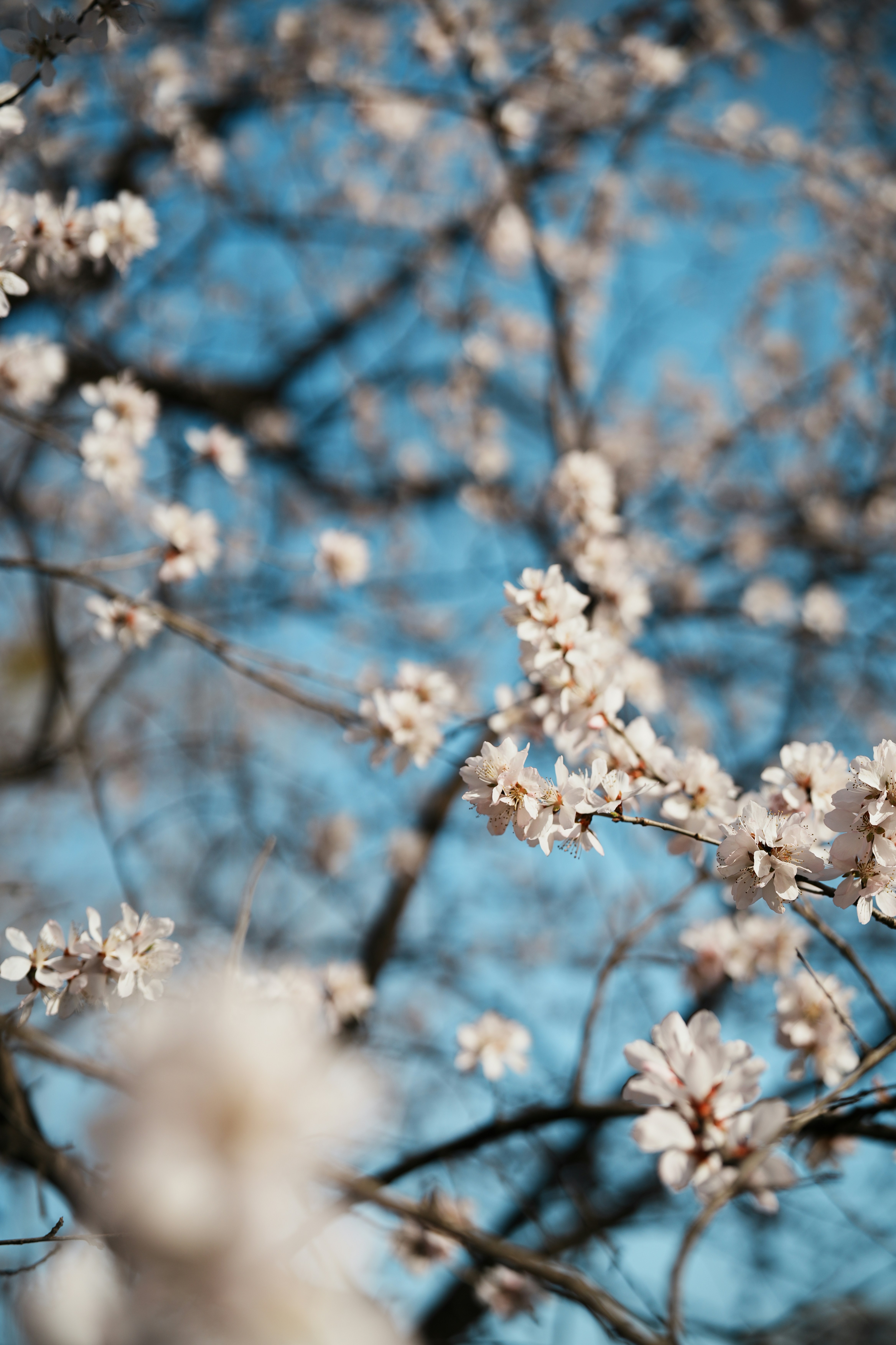 Photo by jazzyoucansee