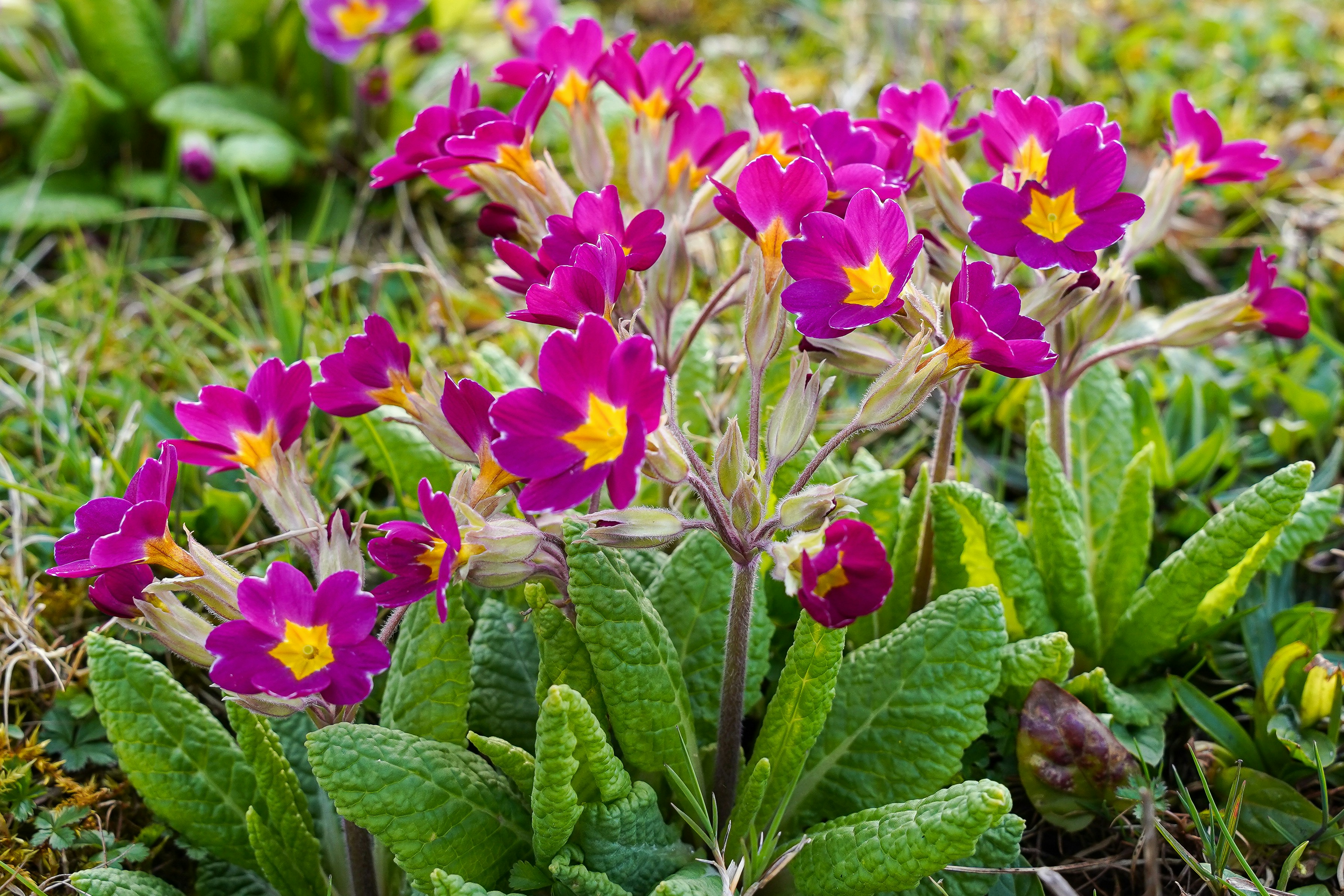 Photo by magictravel