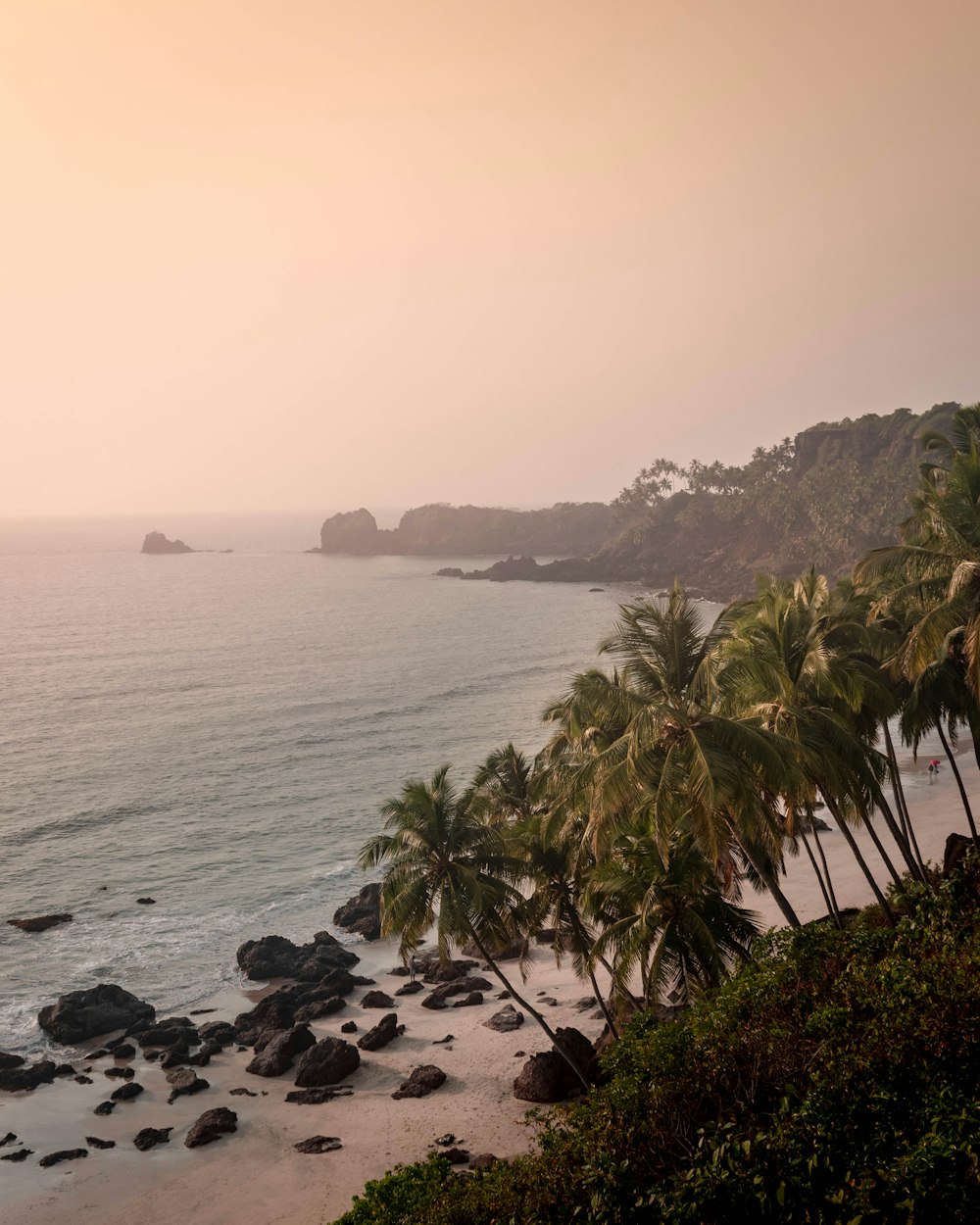 une plage avec des palmiers et un plan d’eau