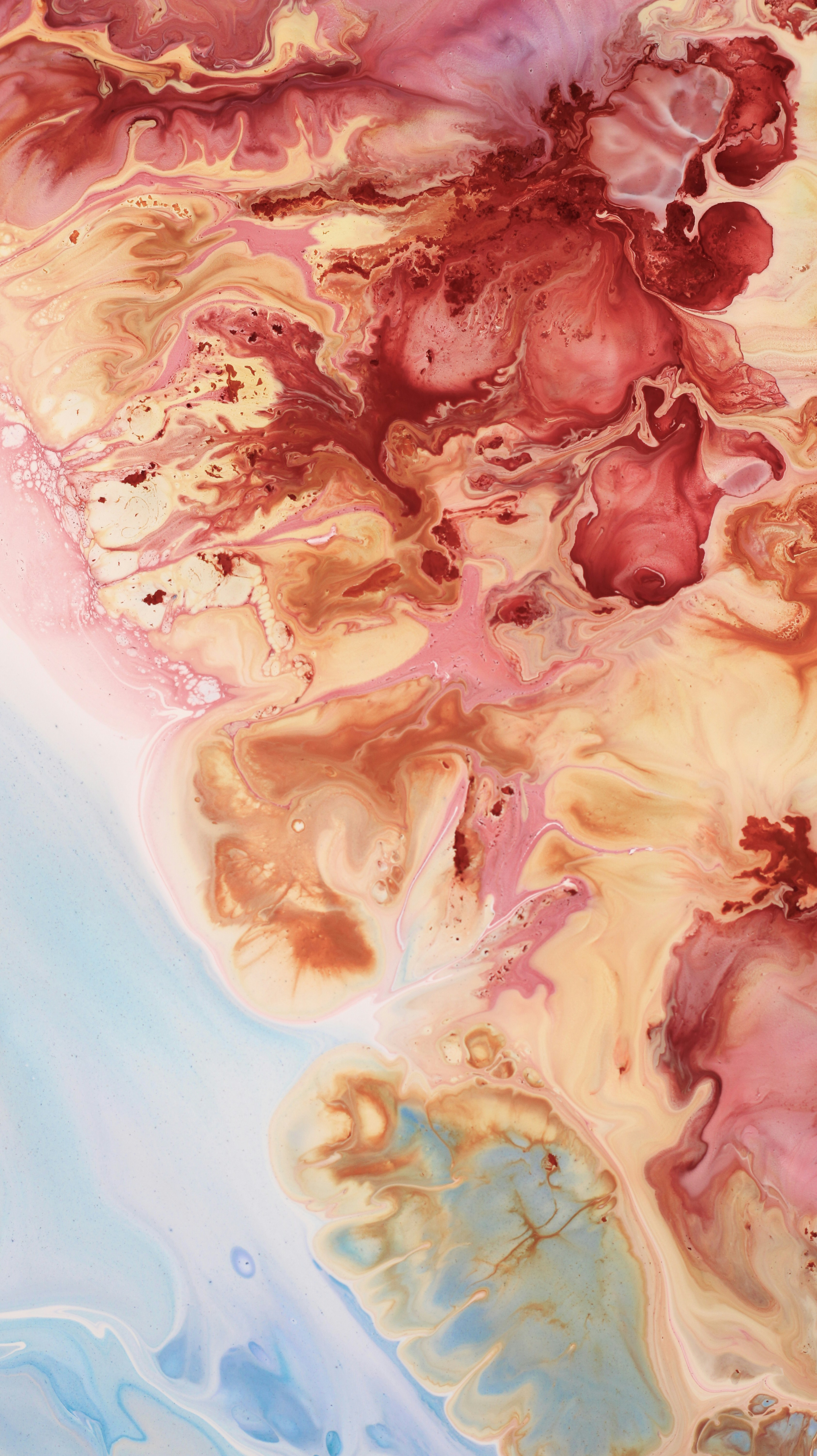 Photo by susan_wilkinson