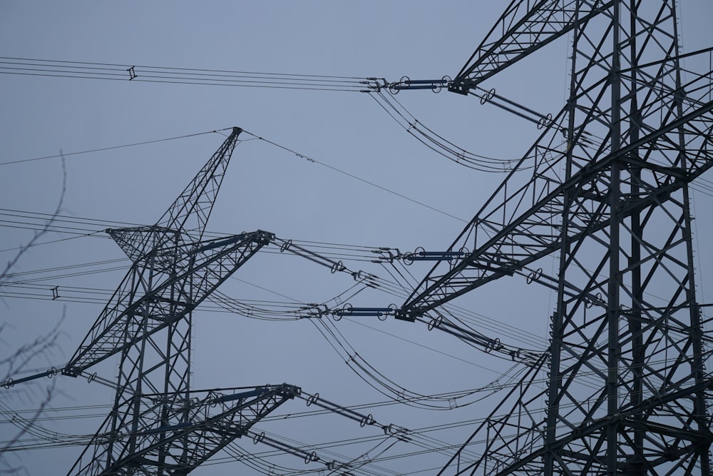 a bird sitting on top of a power line