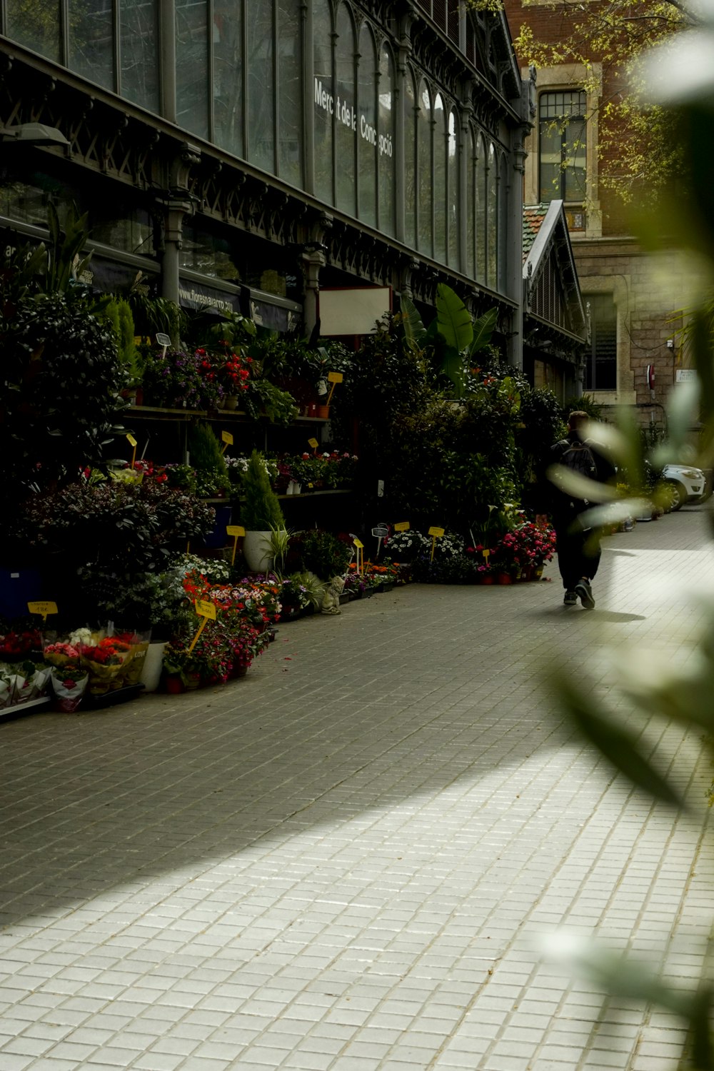 a person walking down a sidewalk near a bunch of flowers