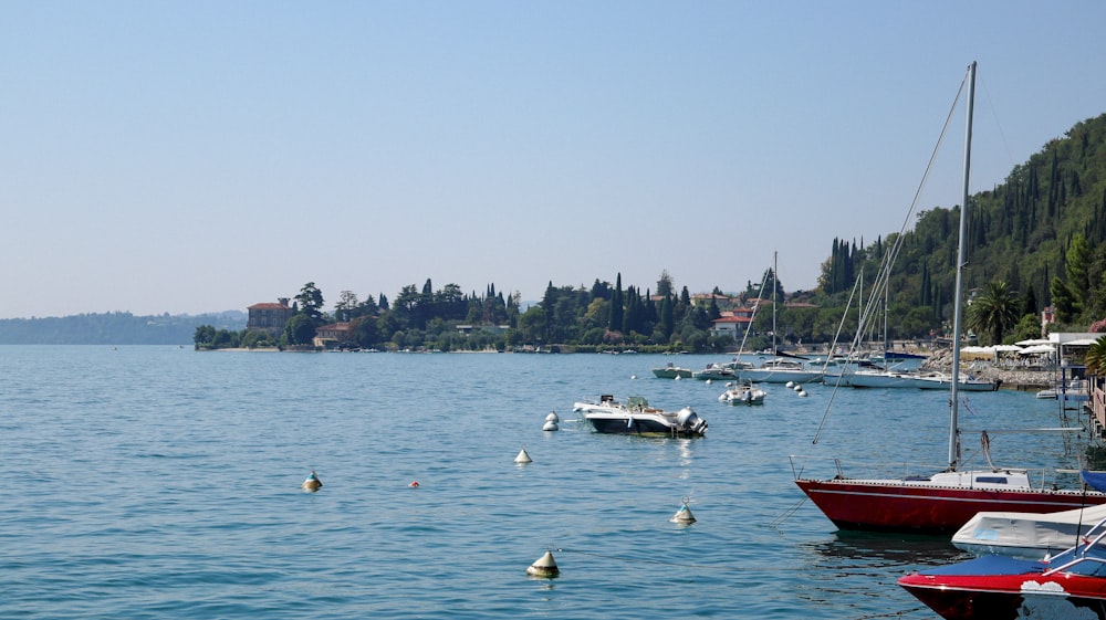 a body of water filled with lots of boats