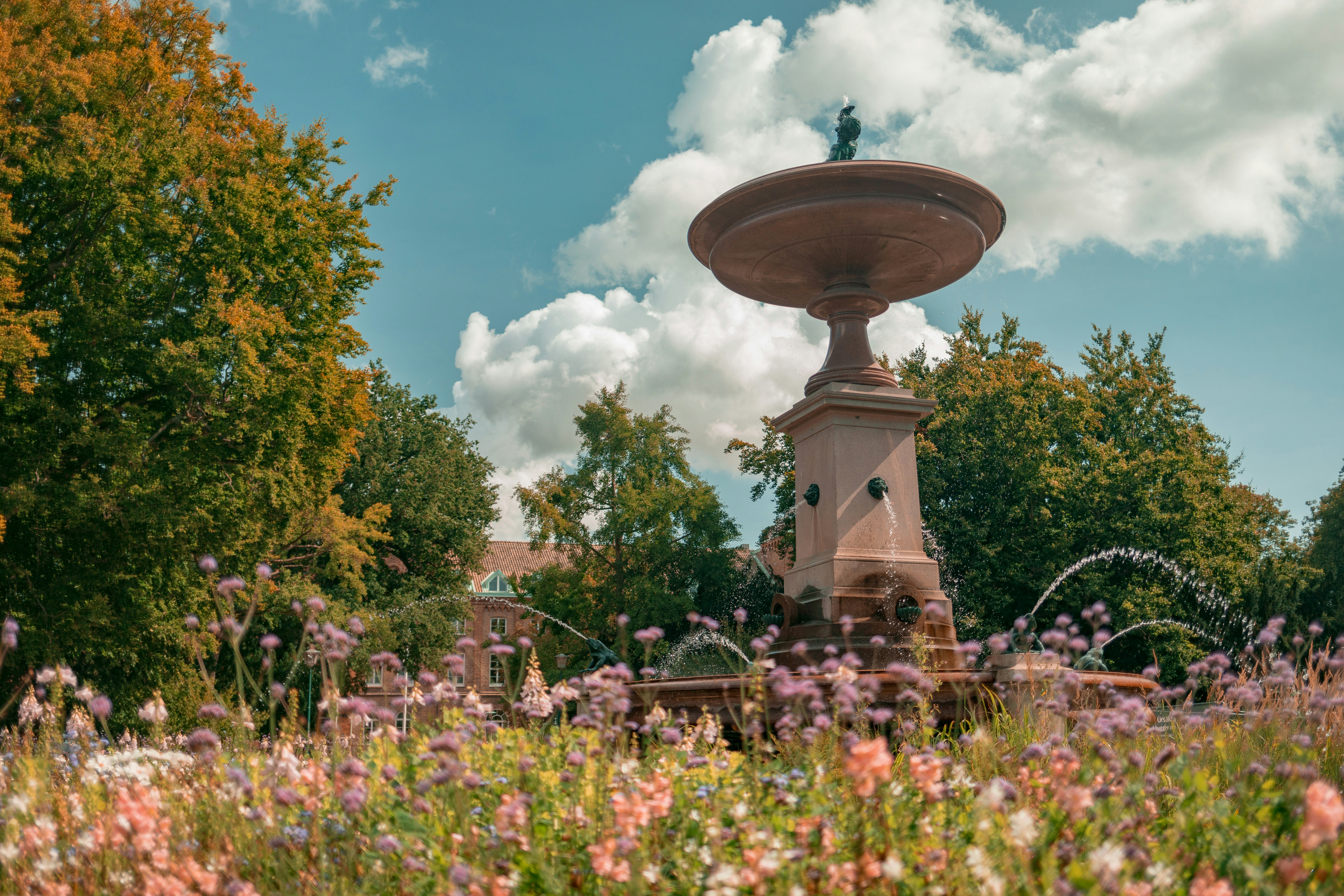 Photo by maureeneijpe