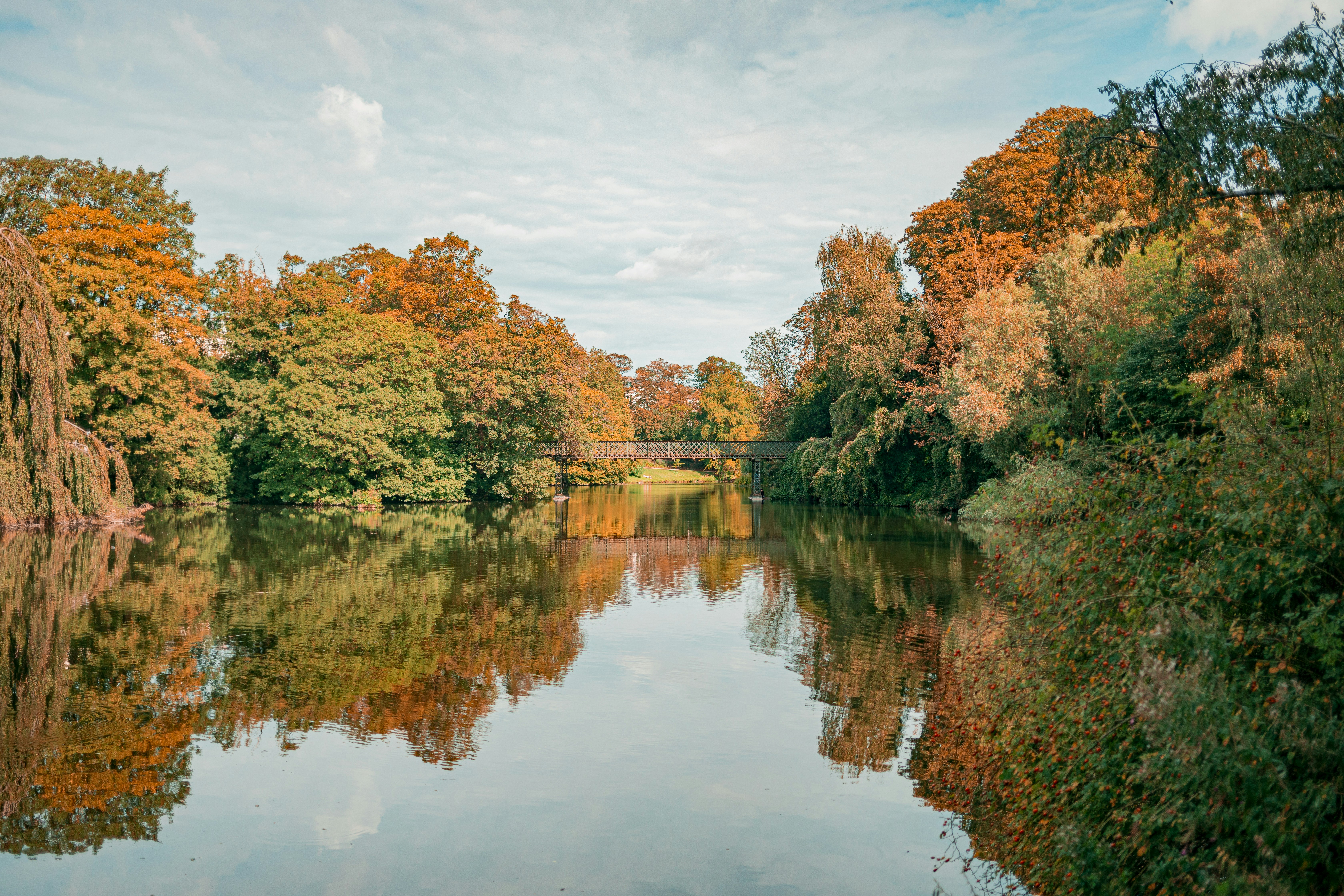 Photo by maureeneijpe