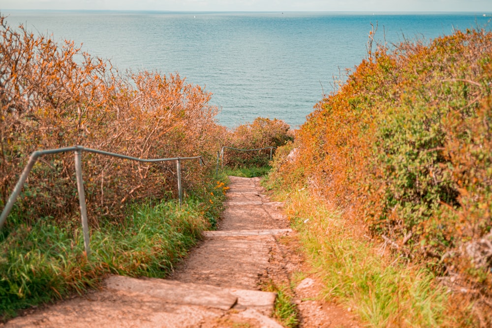 a set of stairs leading to the ocean