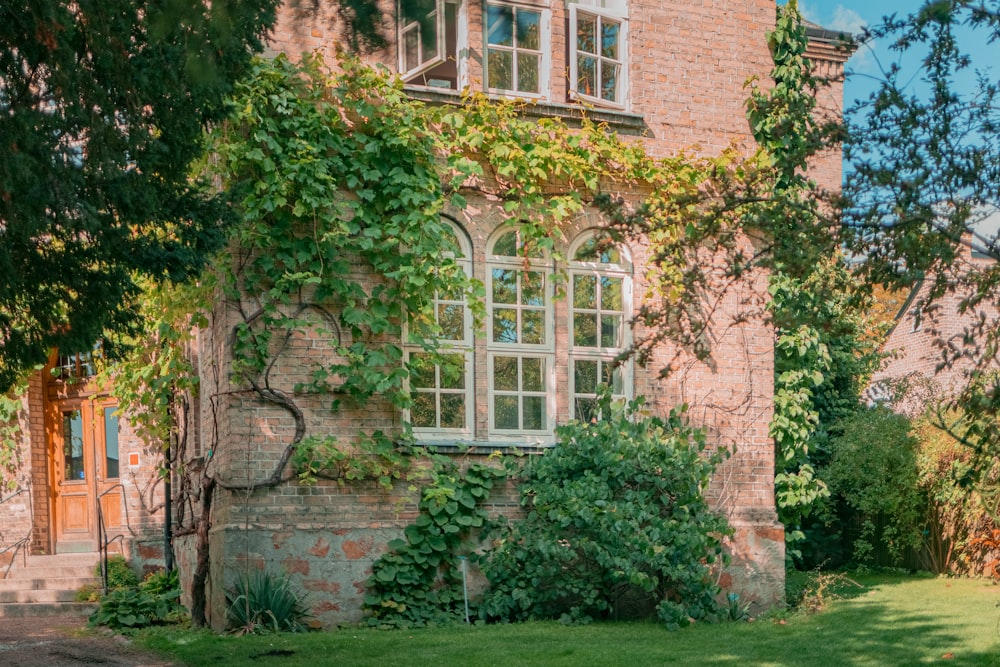 a brick building with ivy growing on the side of it