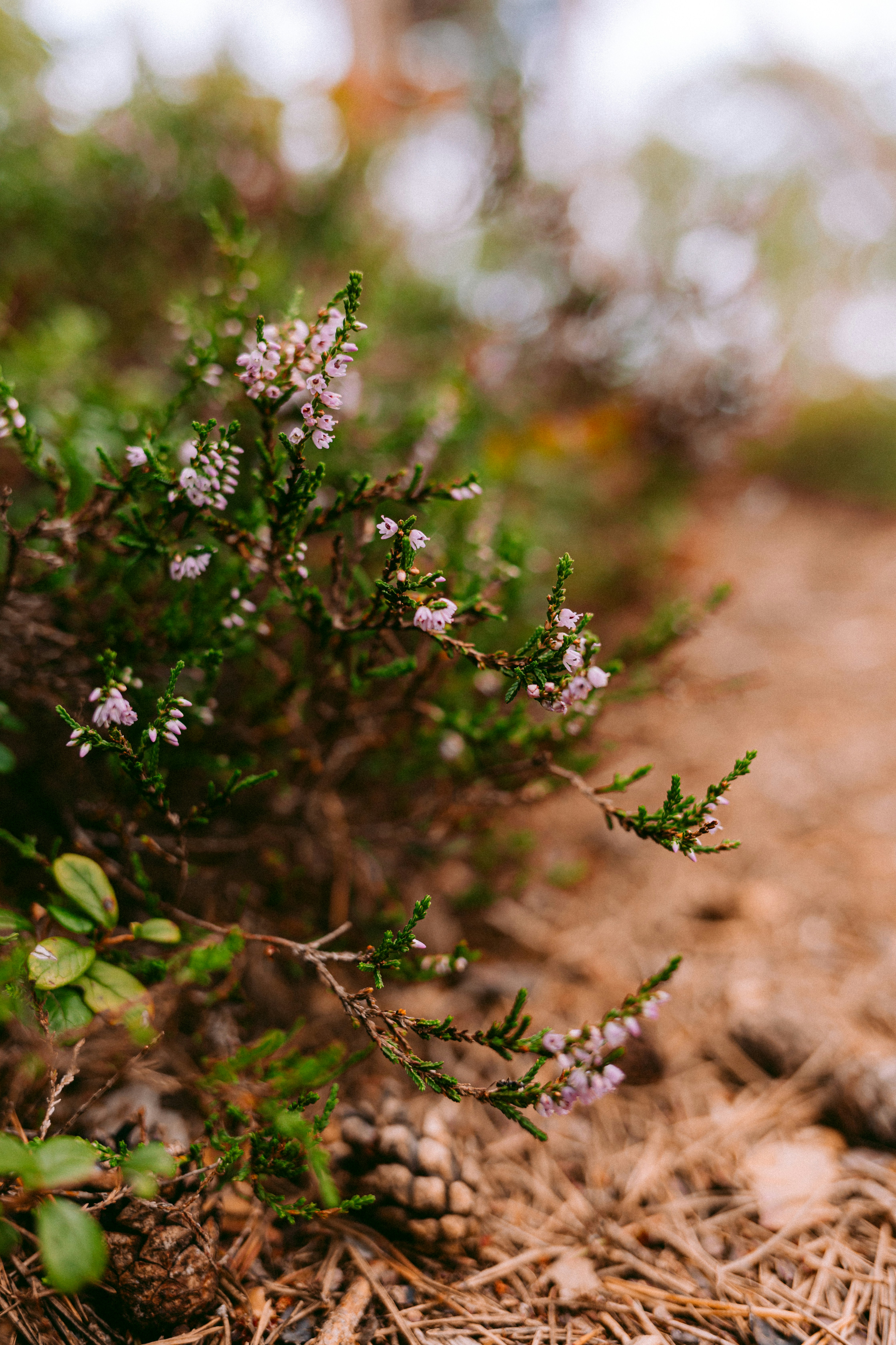 Photo by maureeneijpe