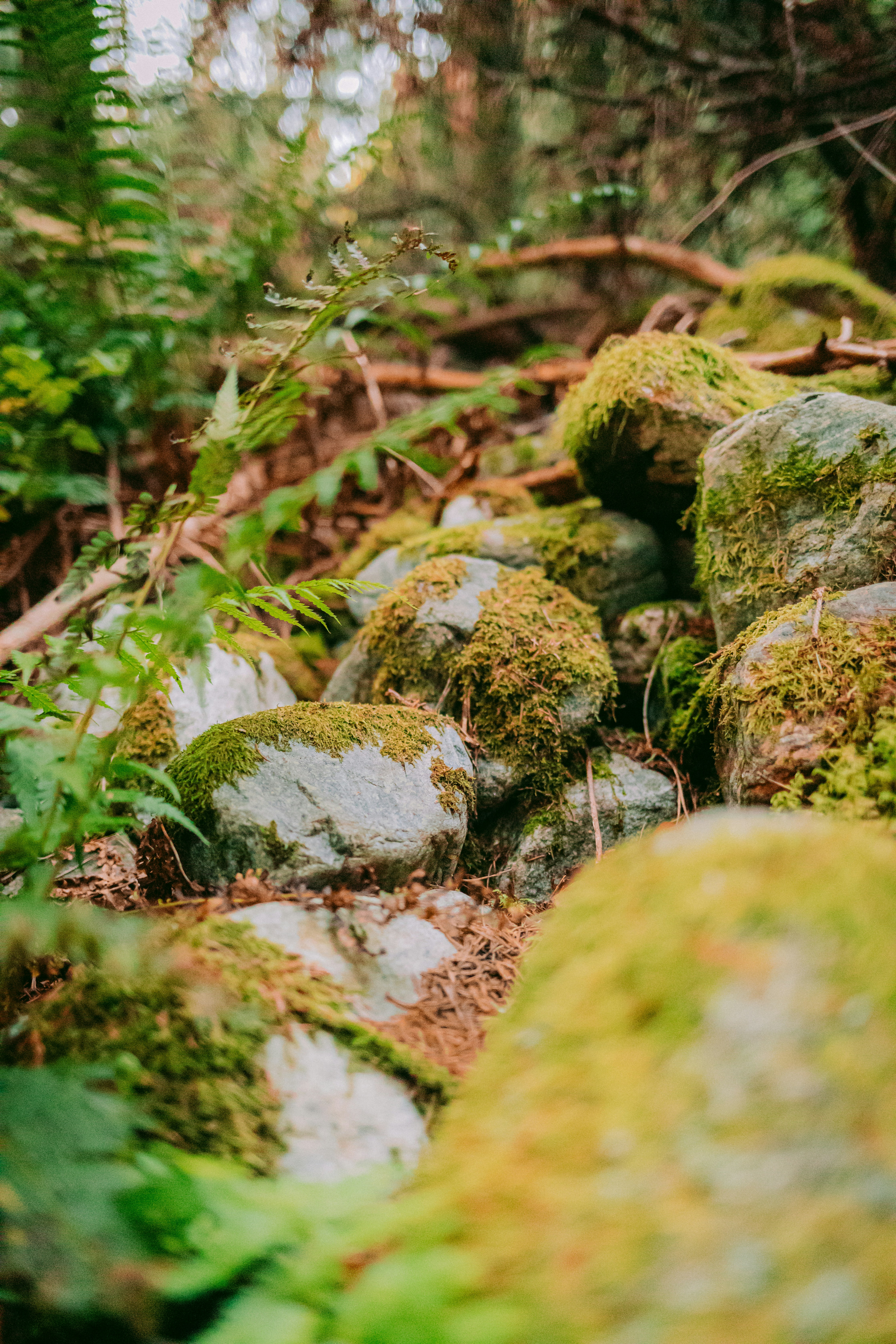 Photo by maureeneijpe