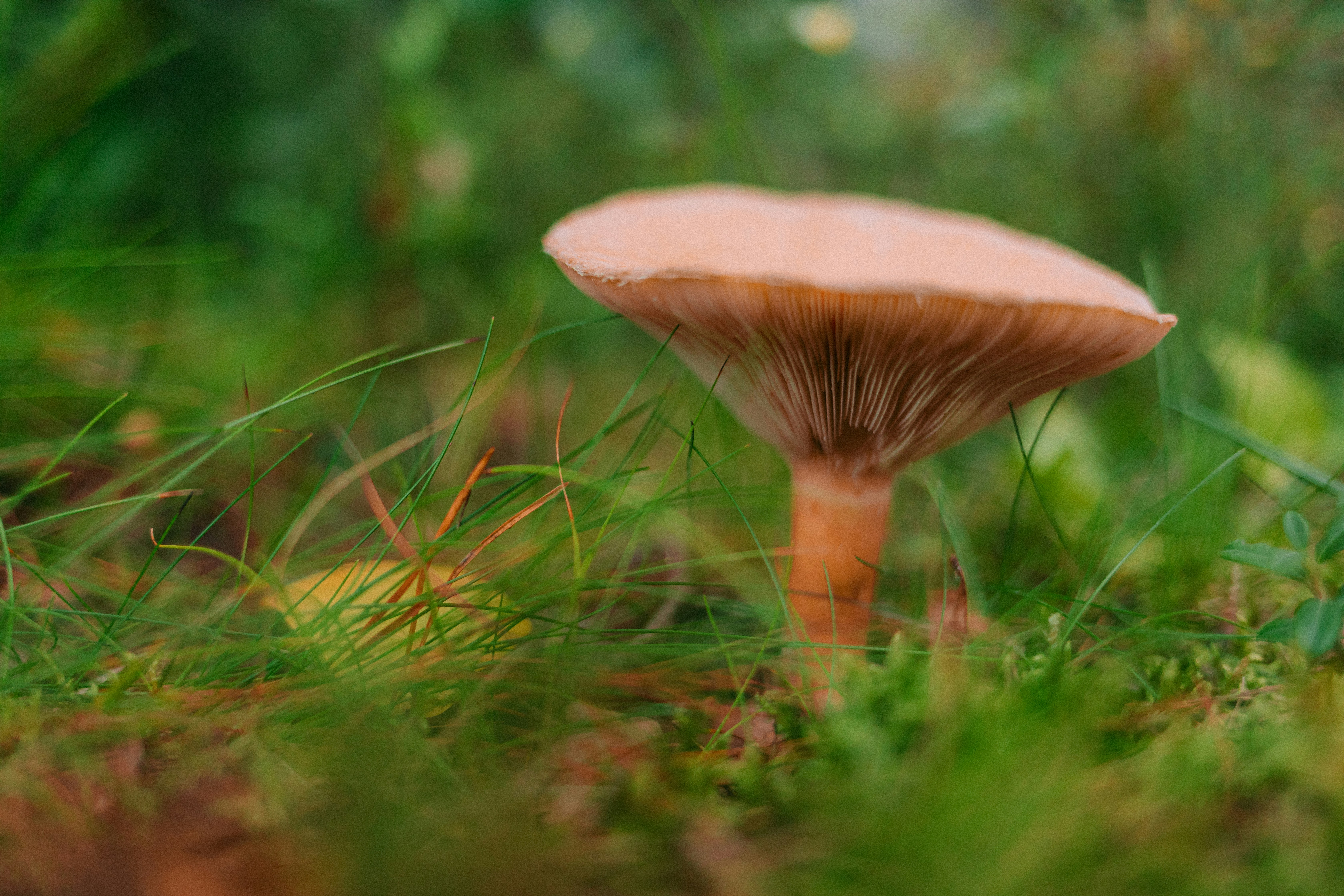 Photo by maureeneijpe