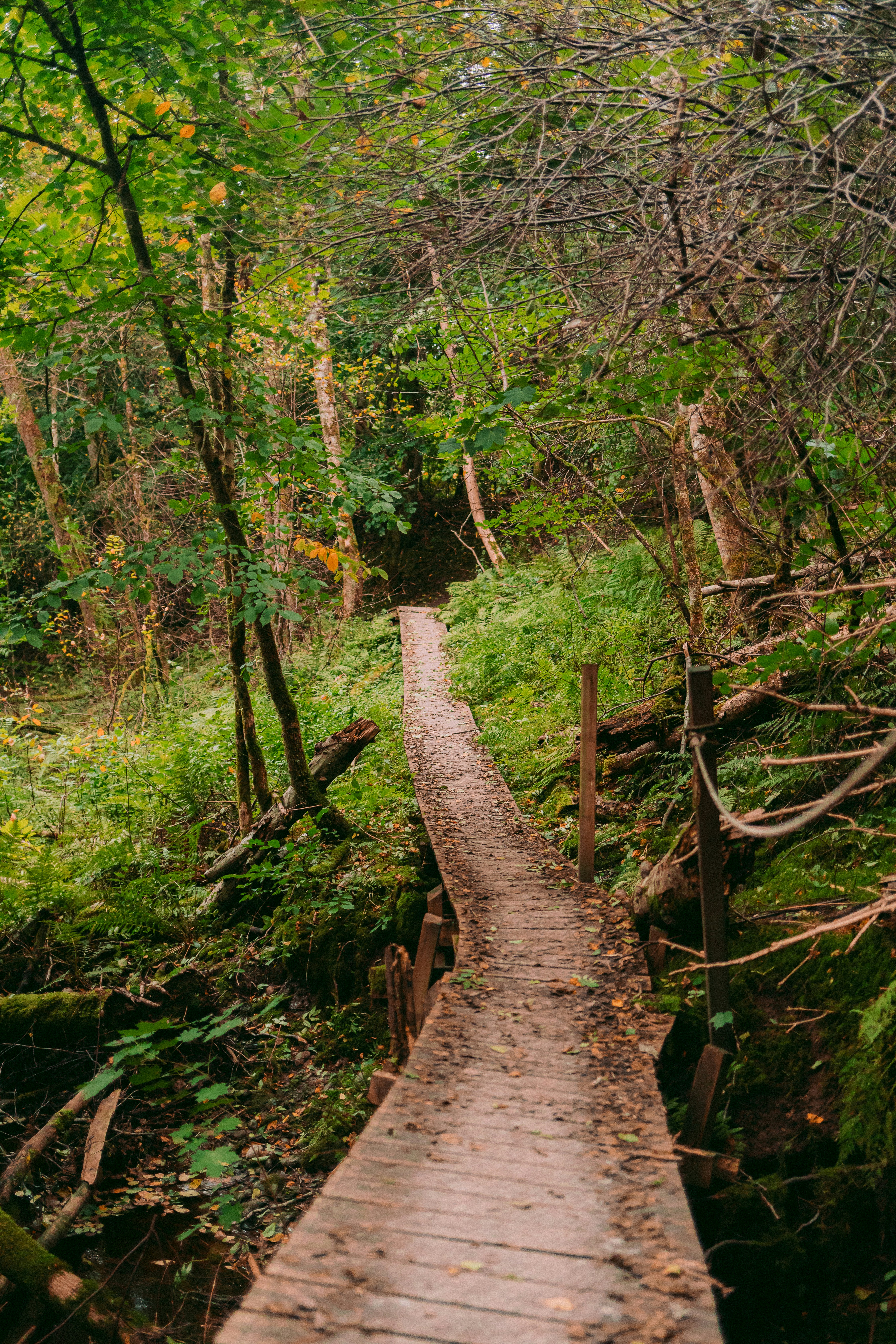 Photo by maureeneijpe