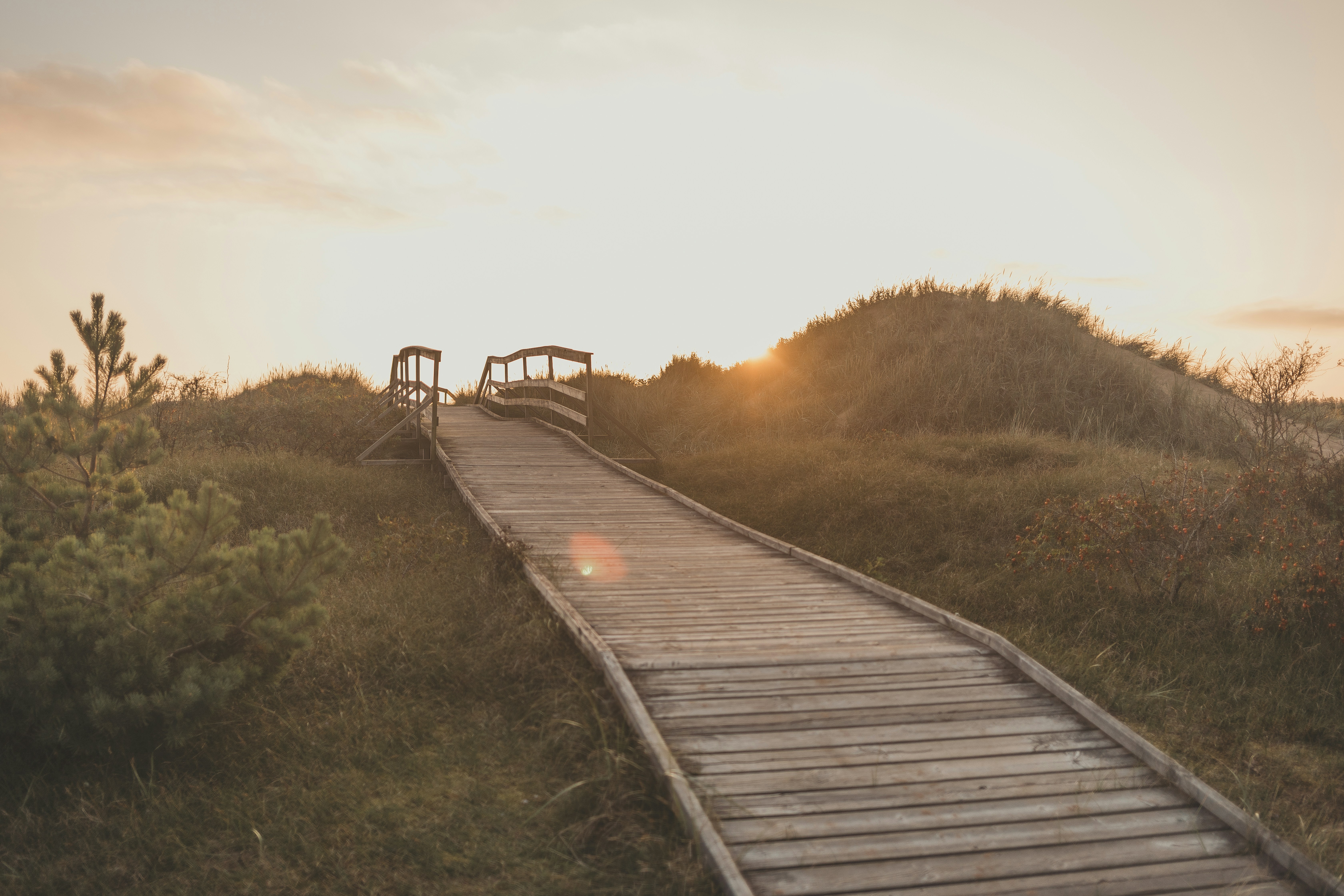 Photo by maureeneijpe