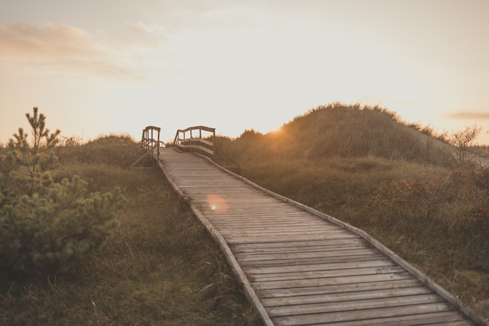 a wooden walkway going up a hill at sunset