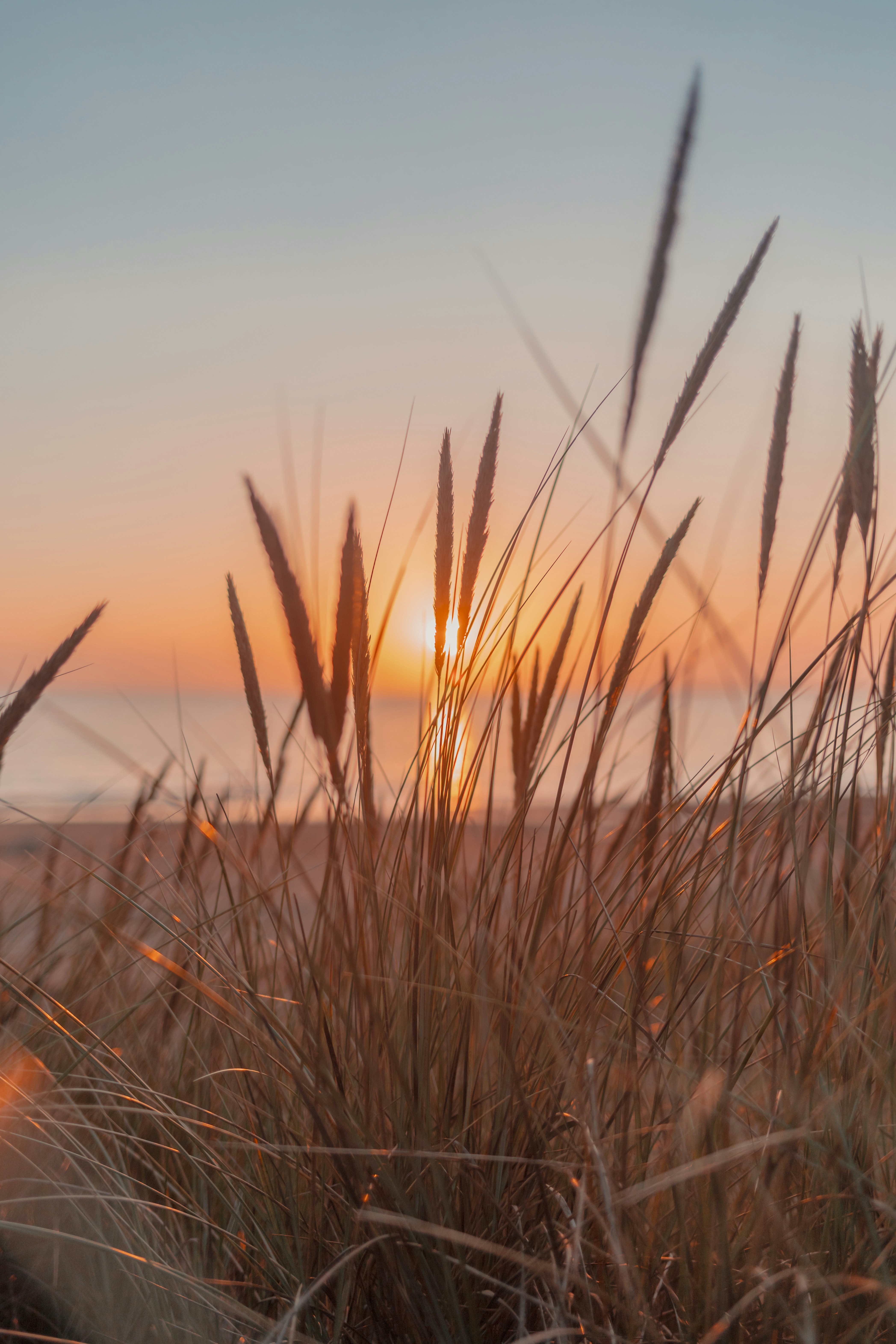 Photo by maureeneijpe